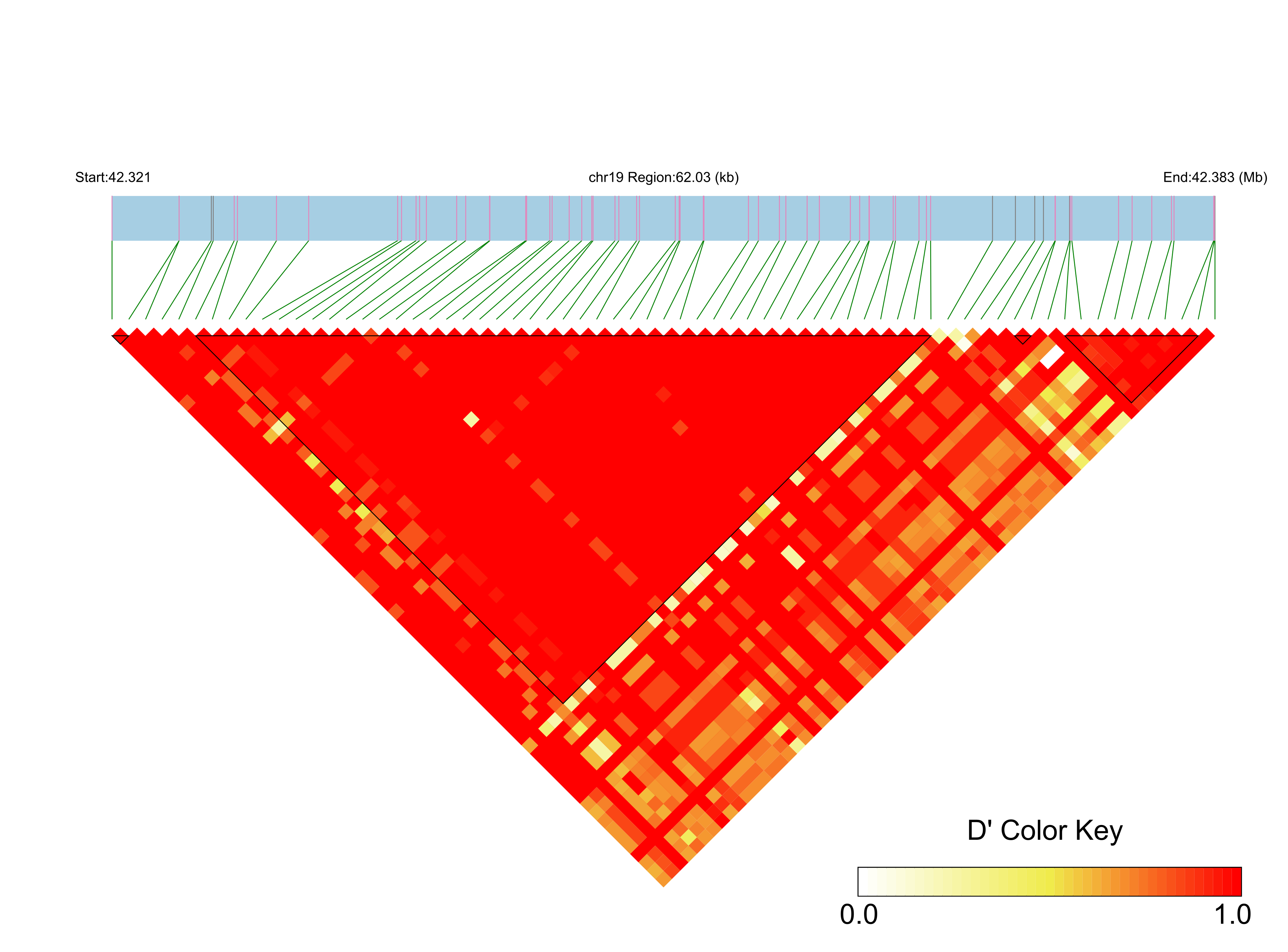 LD
