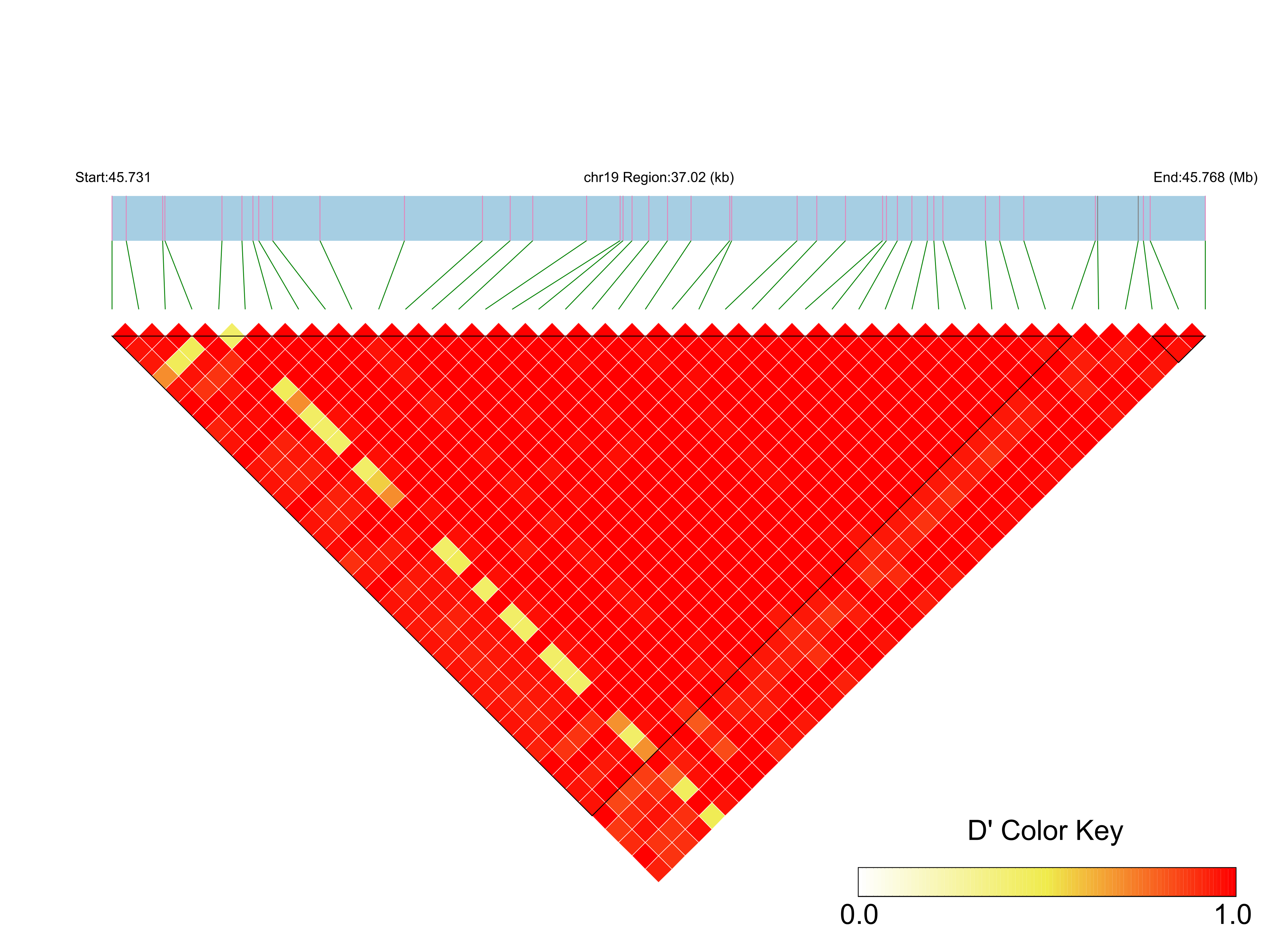 LD