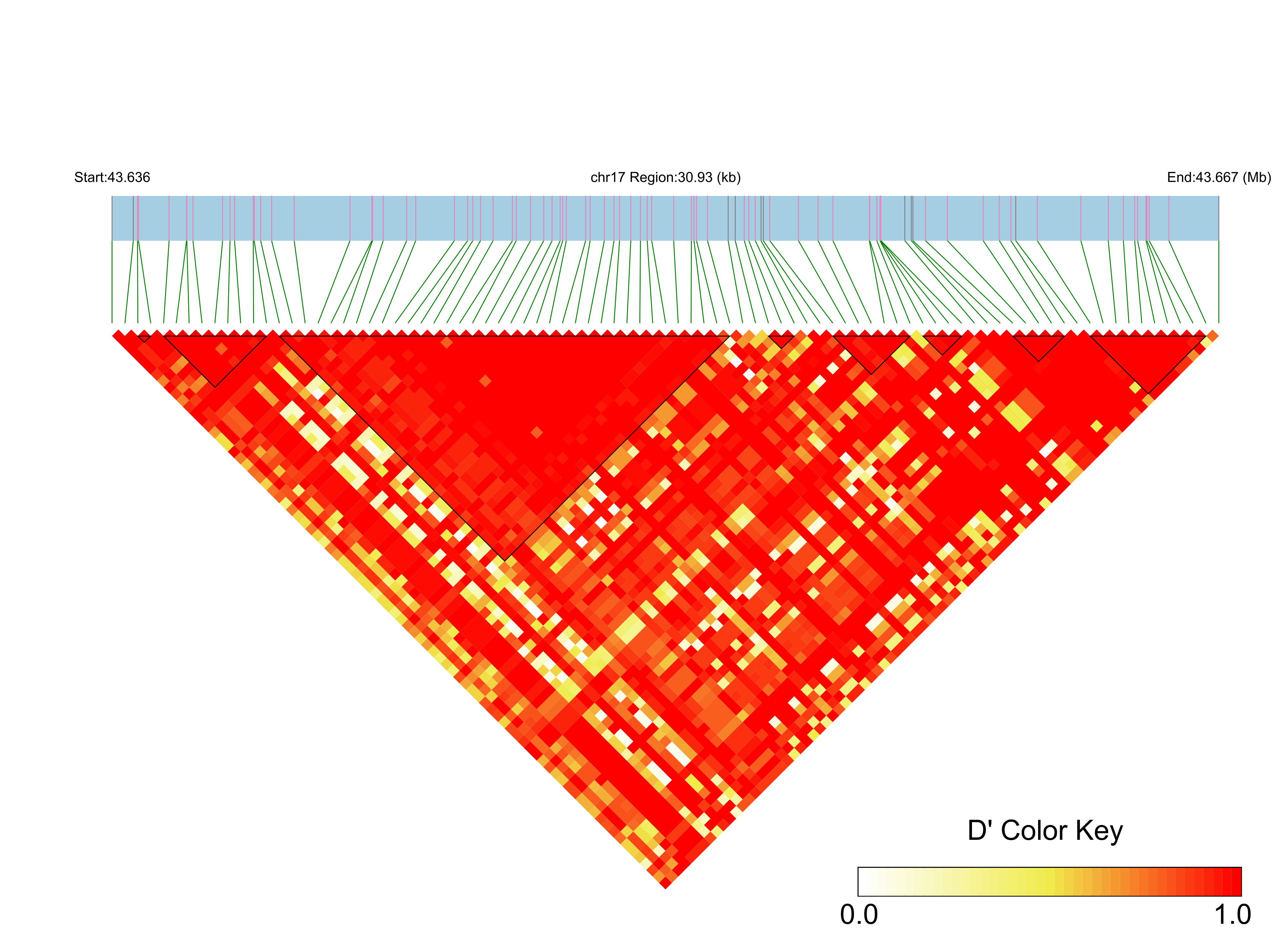 LD