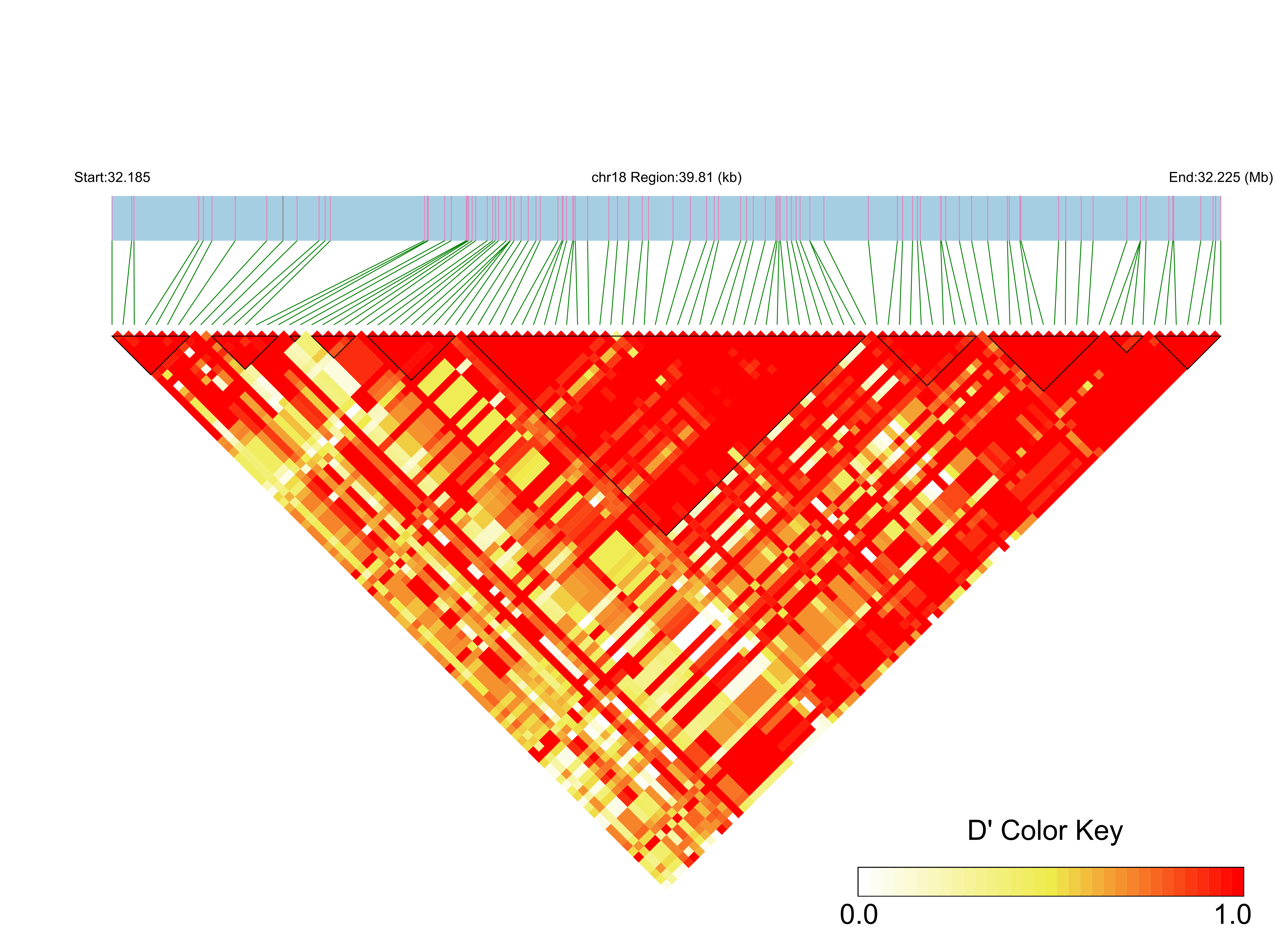 LD