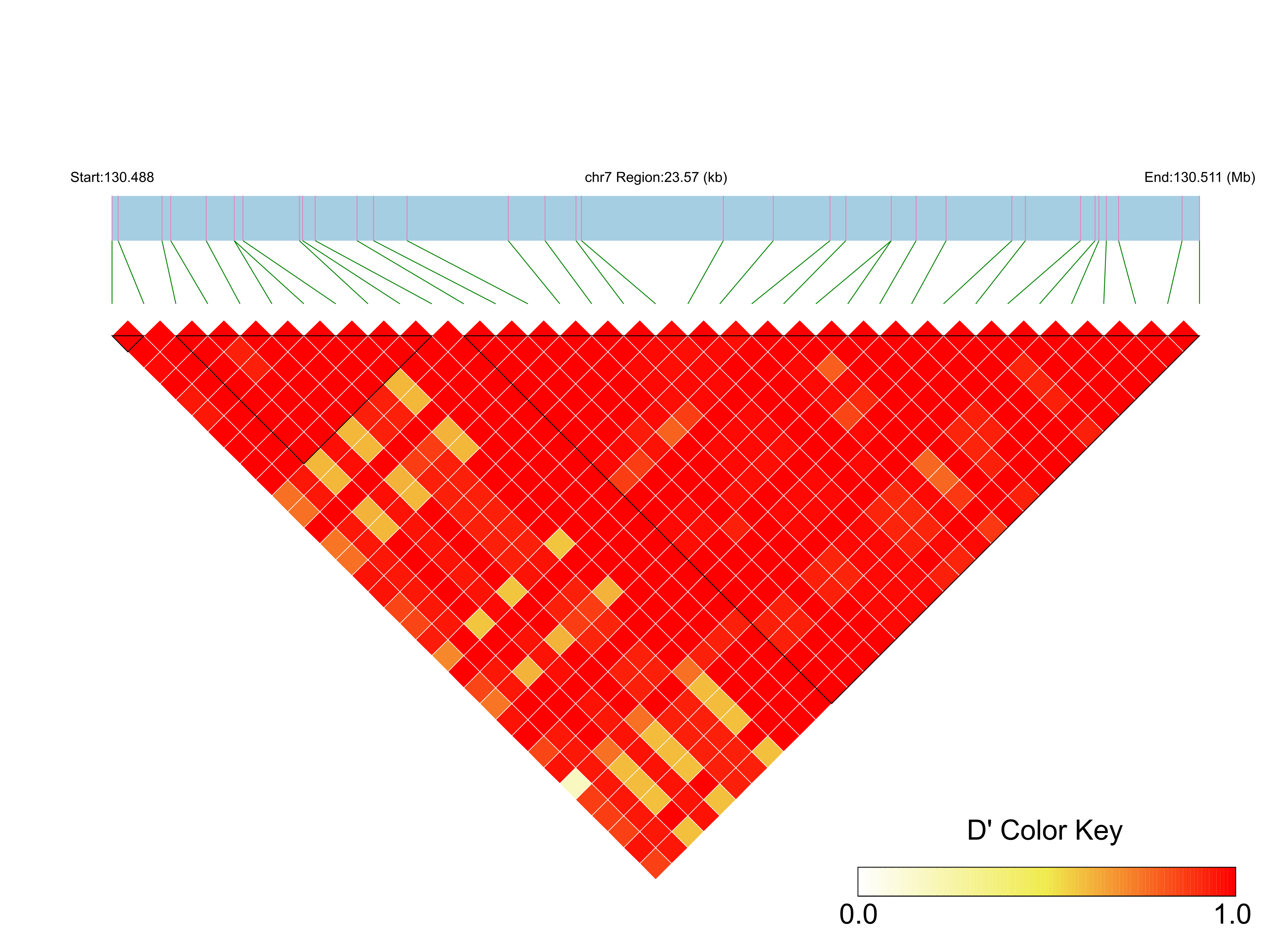 LD