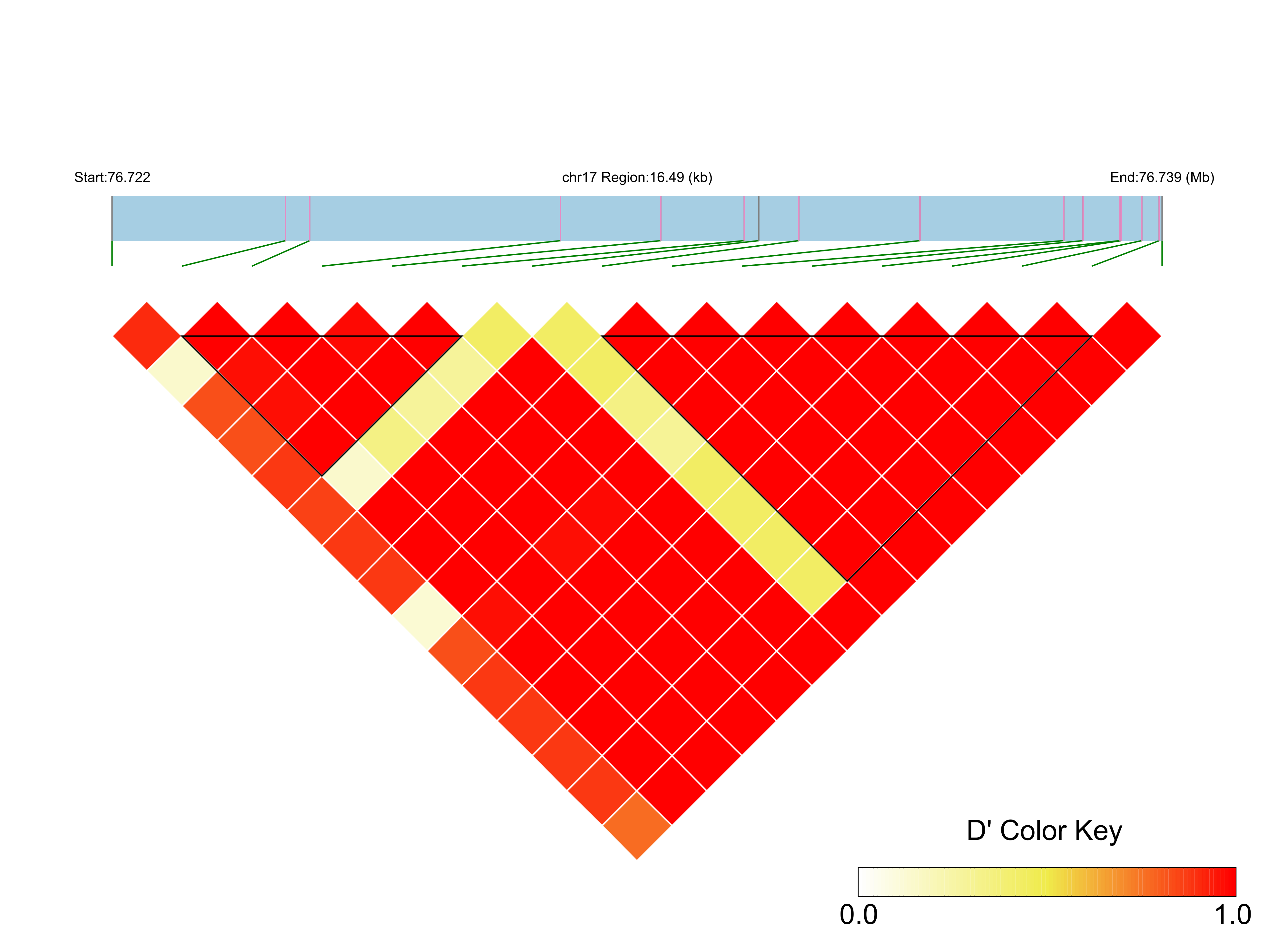 LD