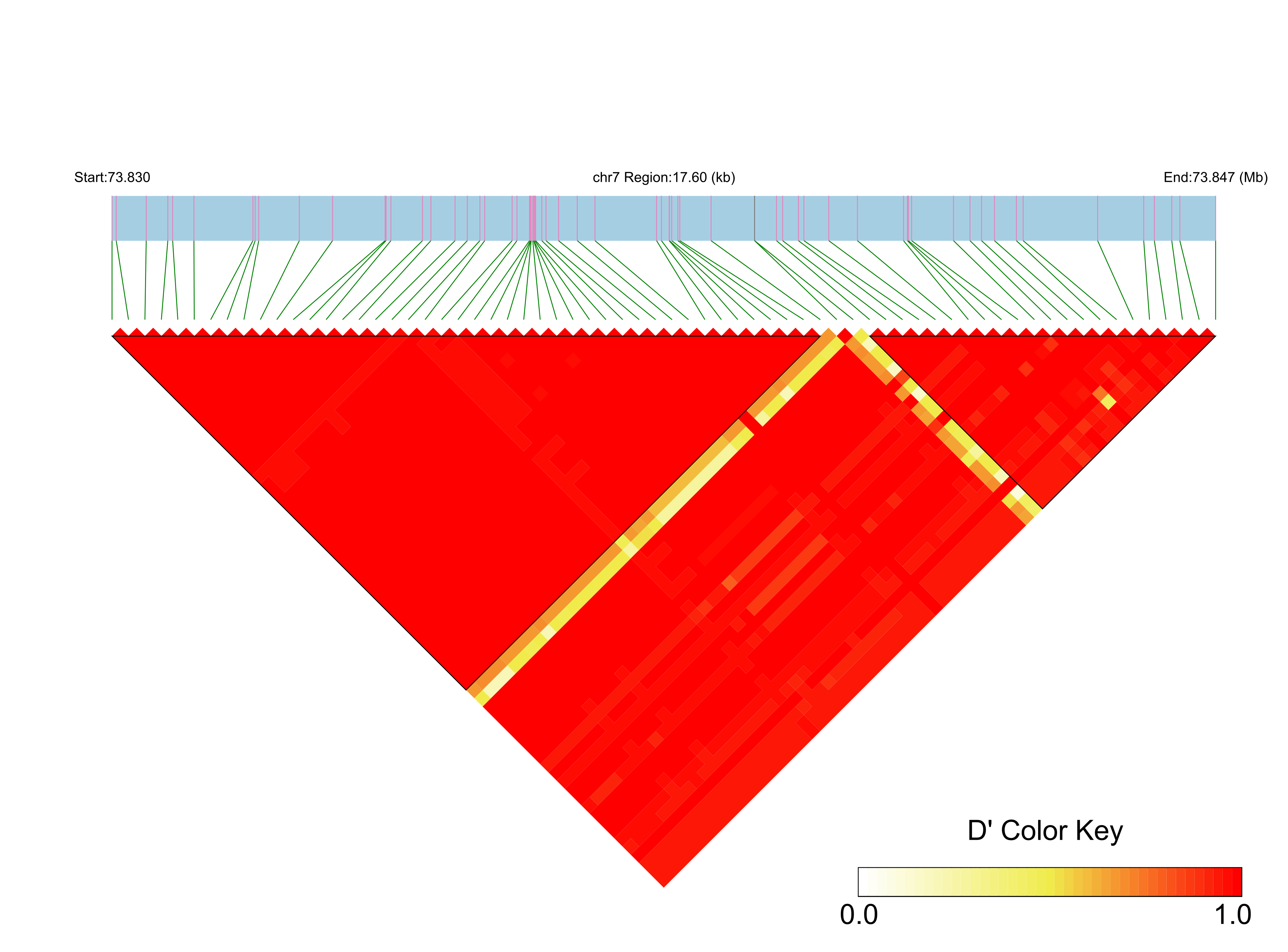 LD