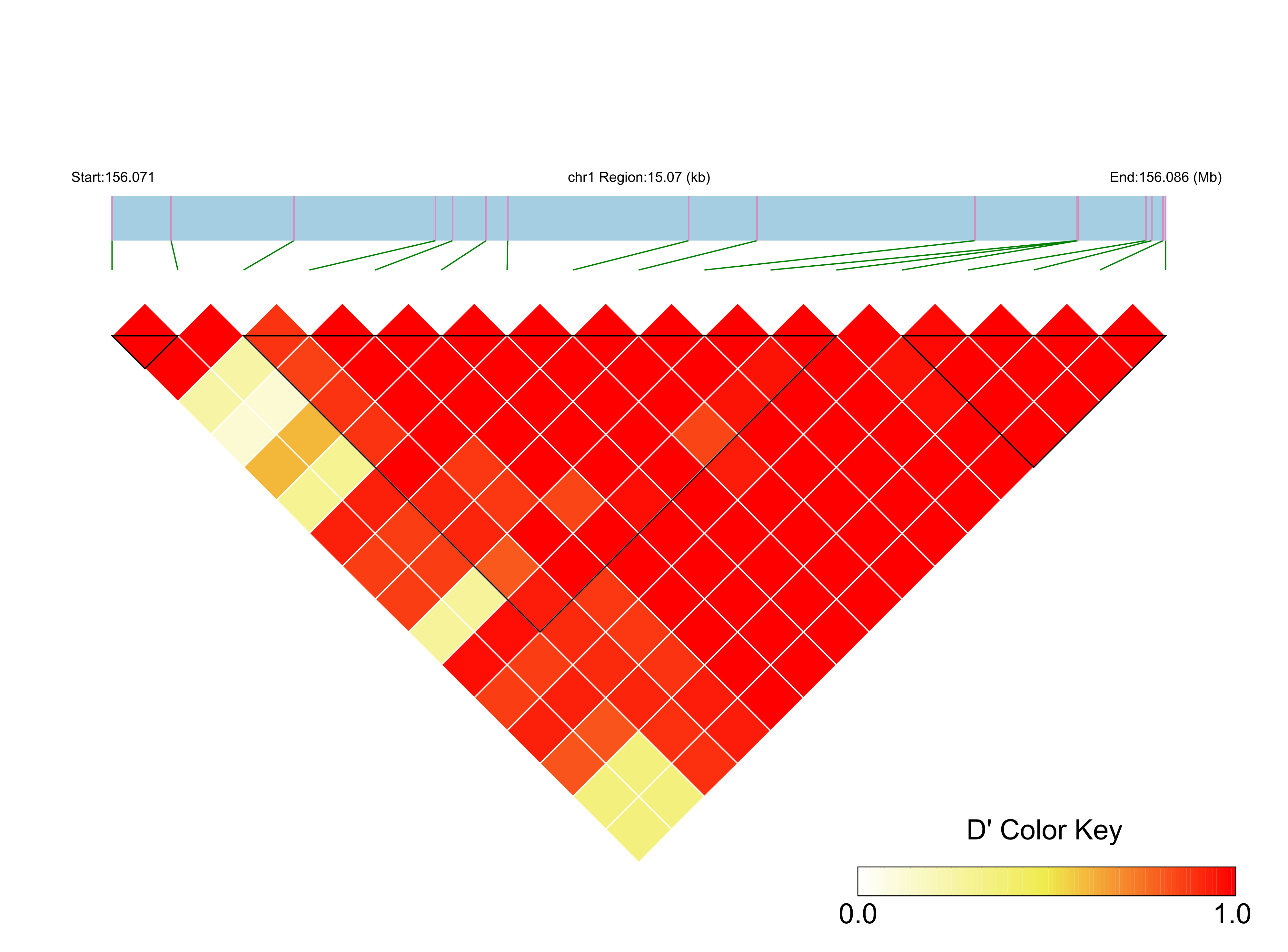 LD