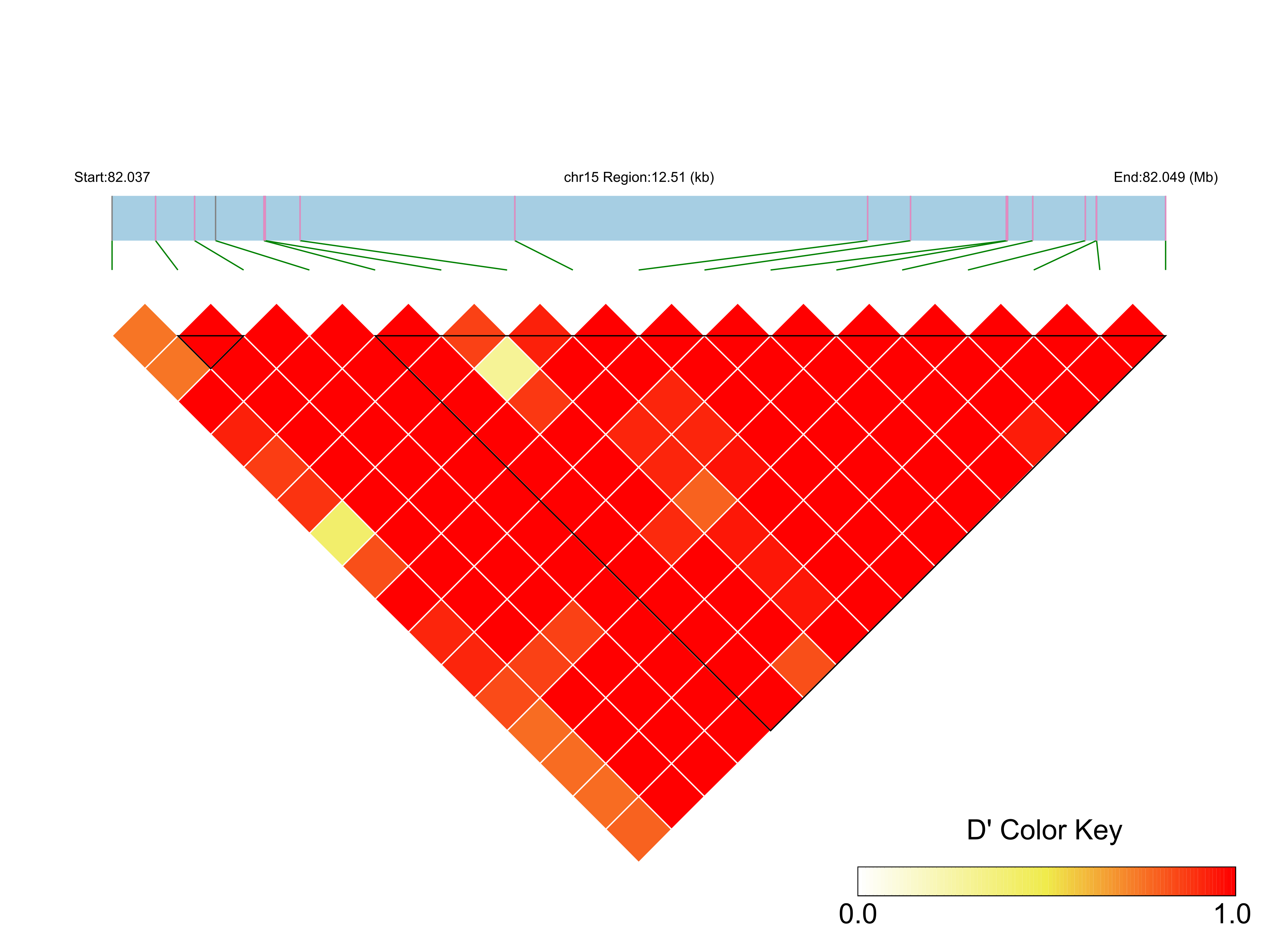 LD