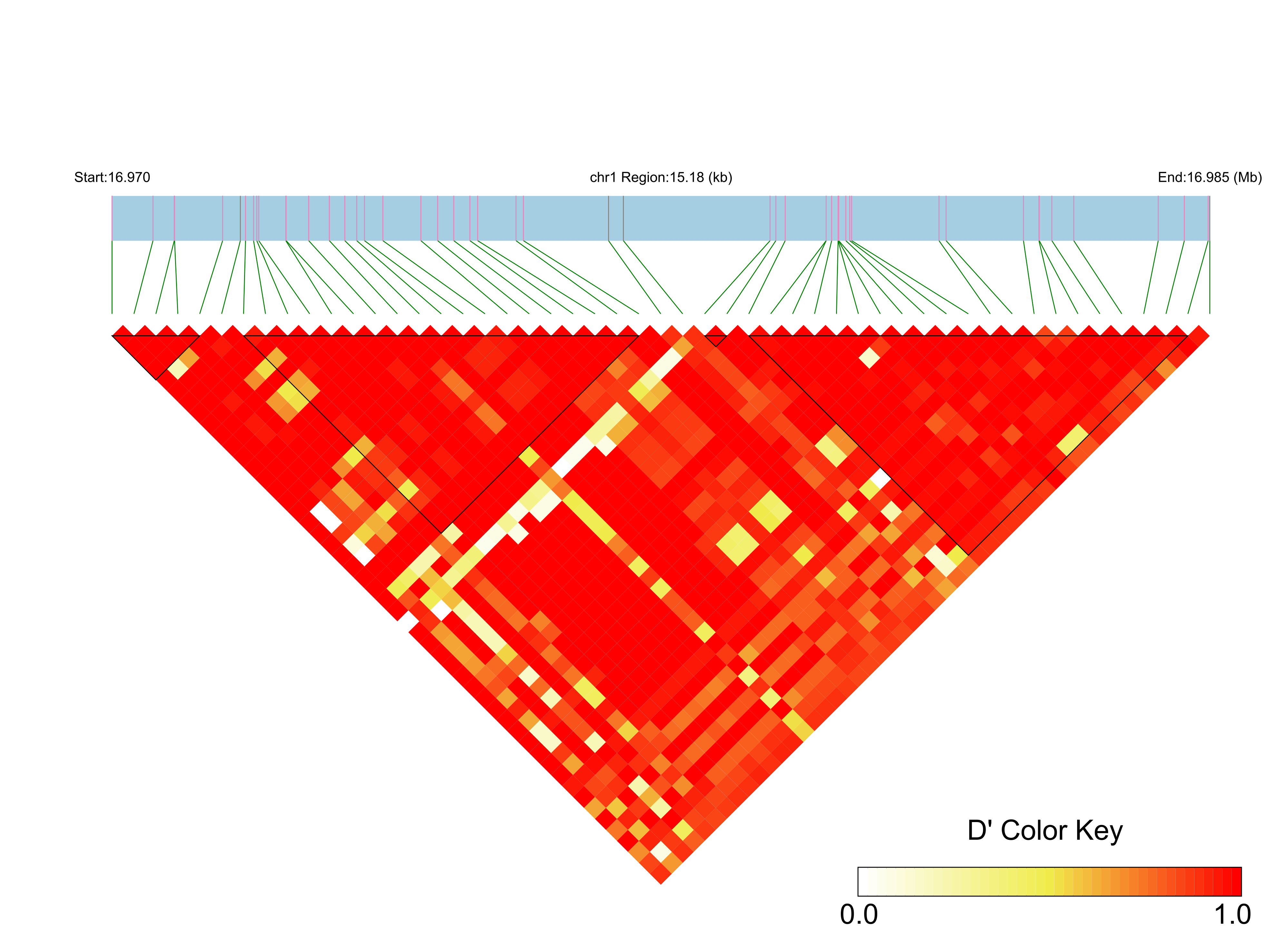 LD