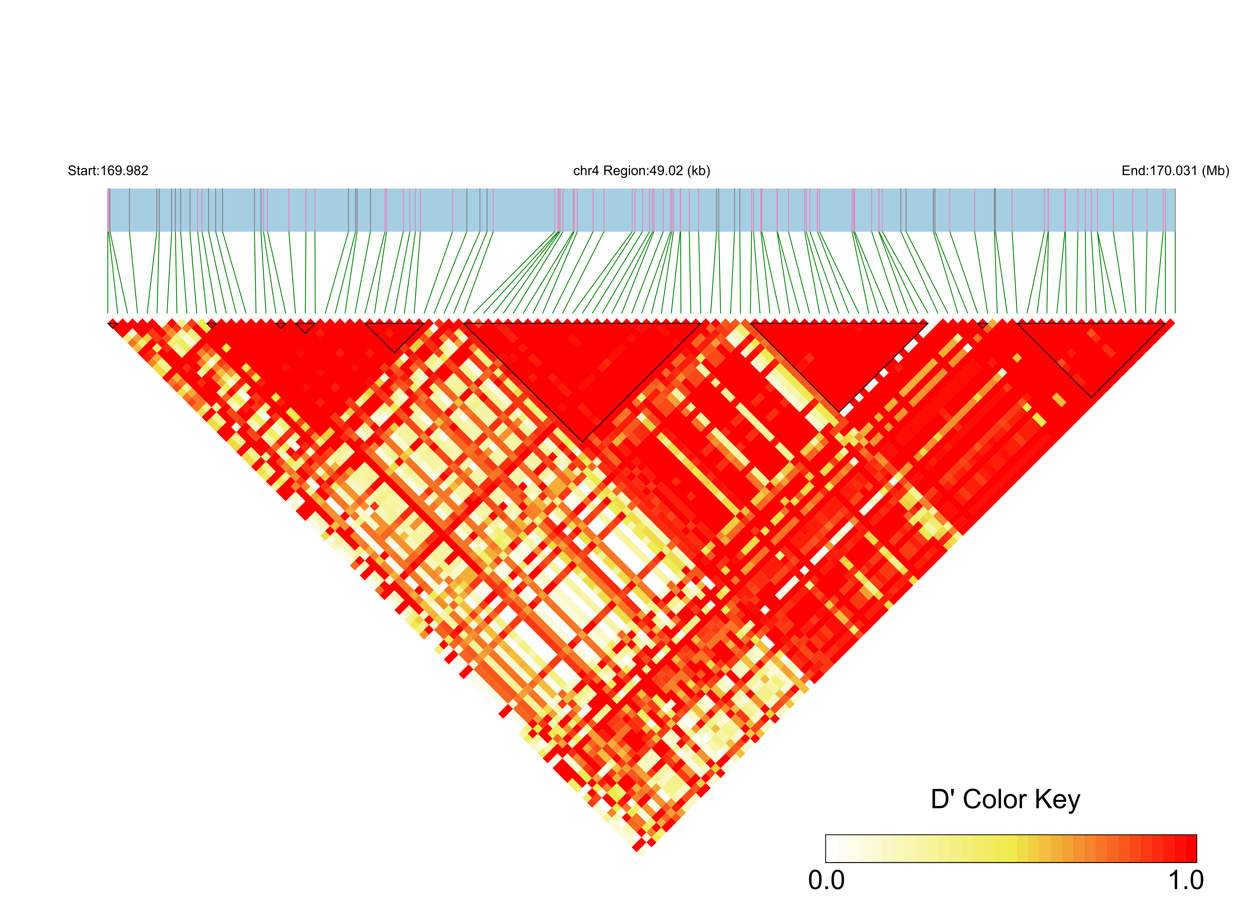 LD