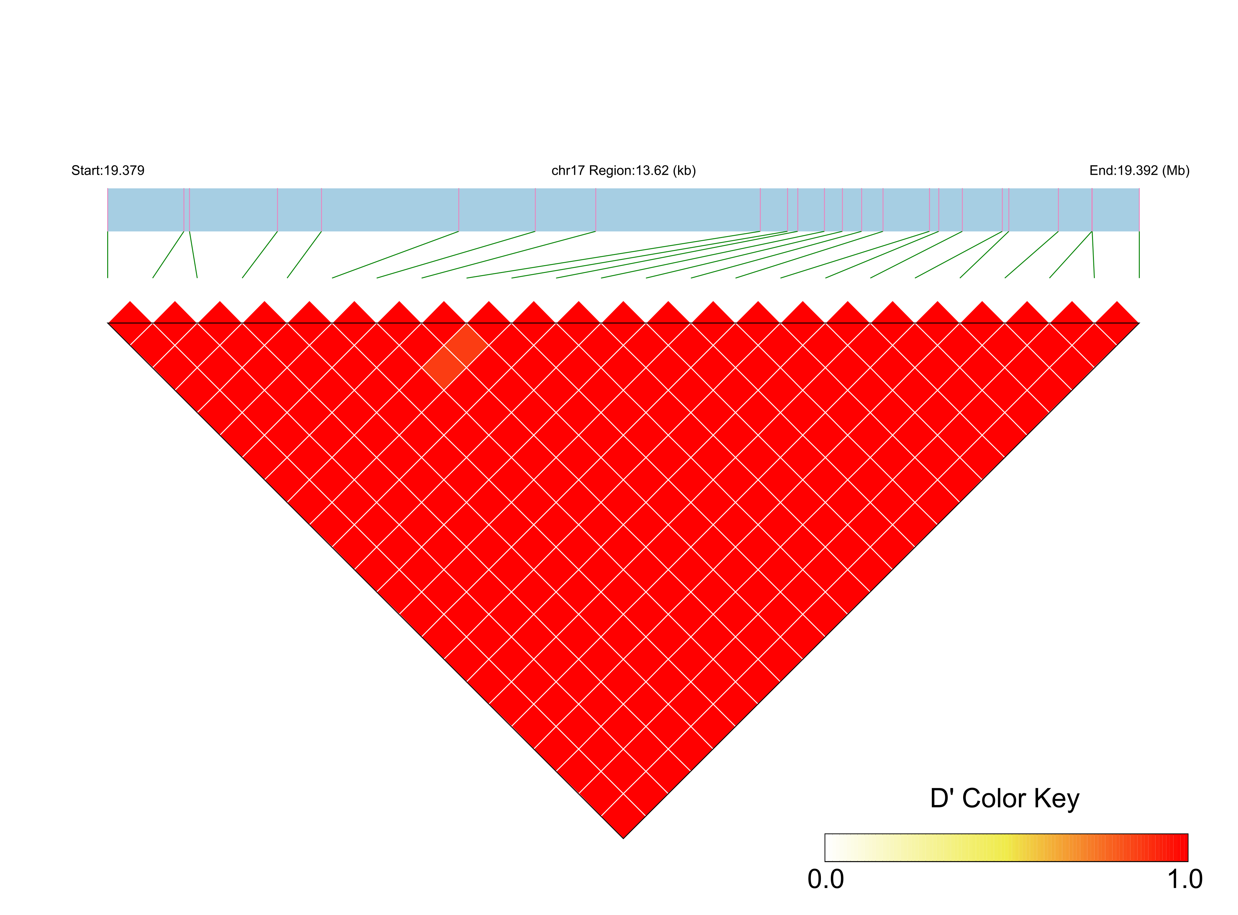 LD