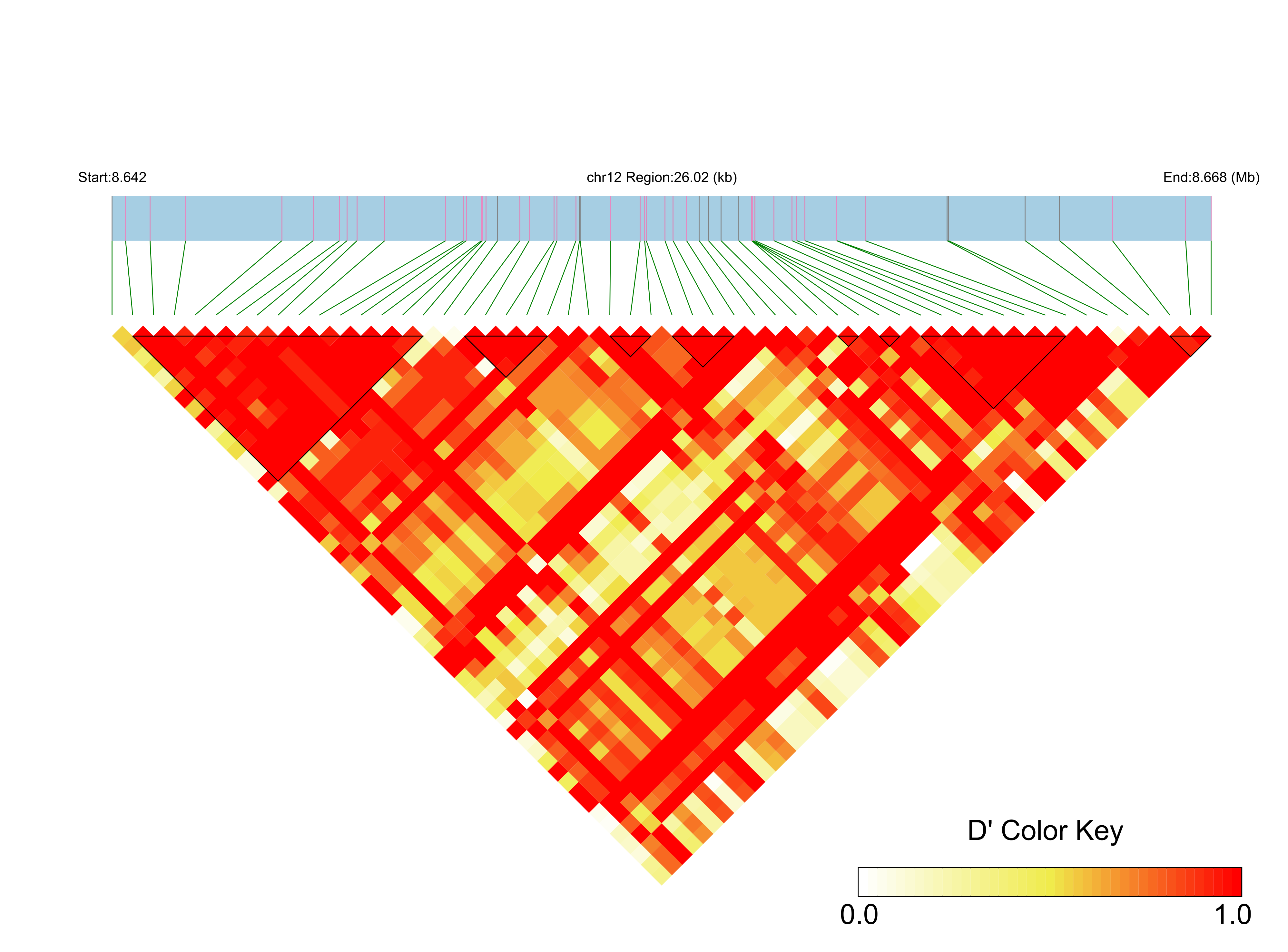 LD