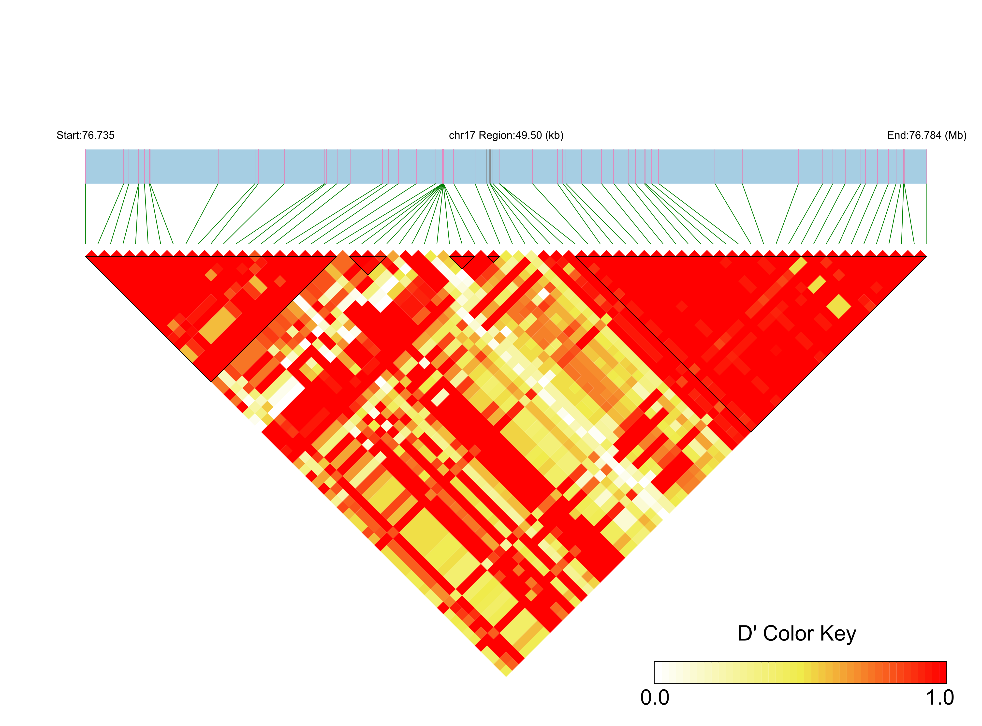 LD