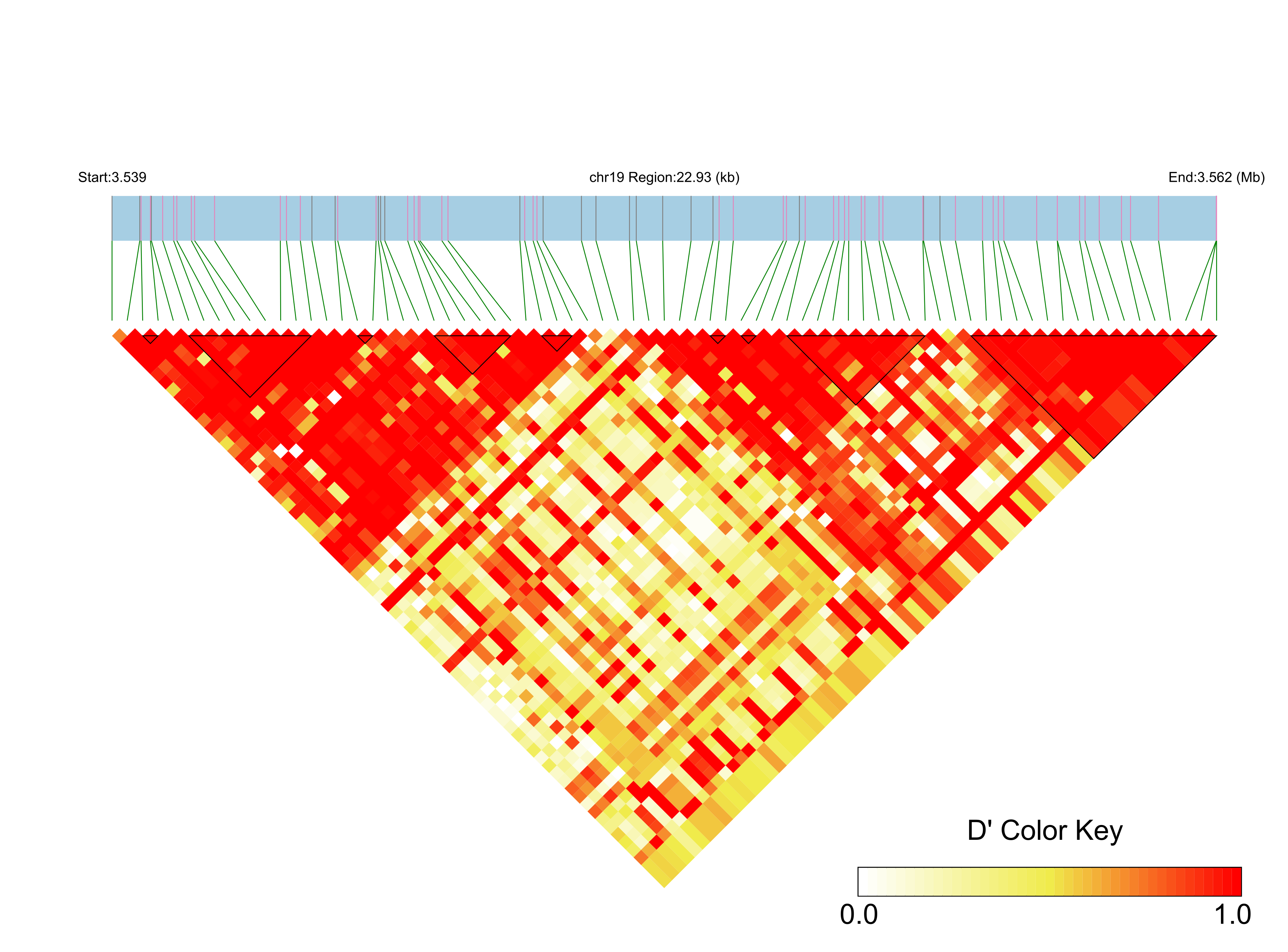LD