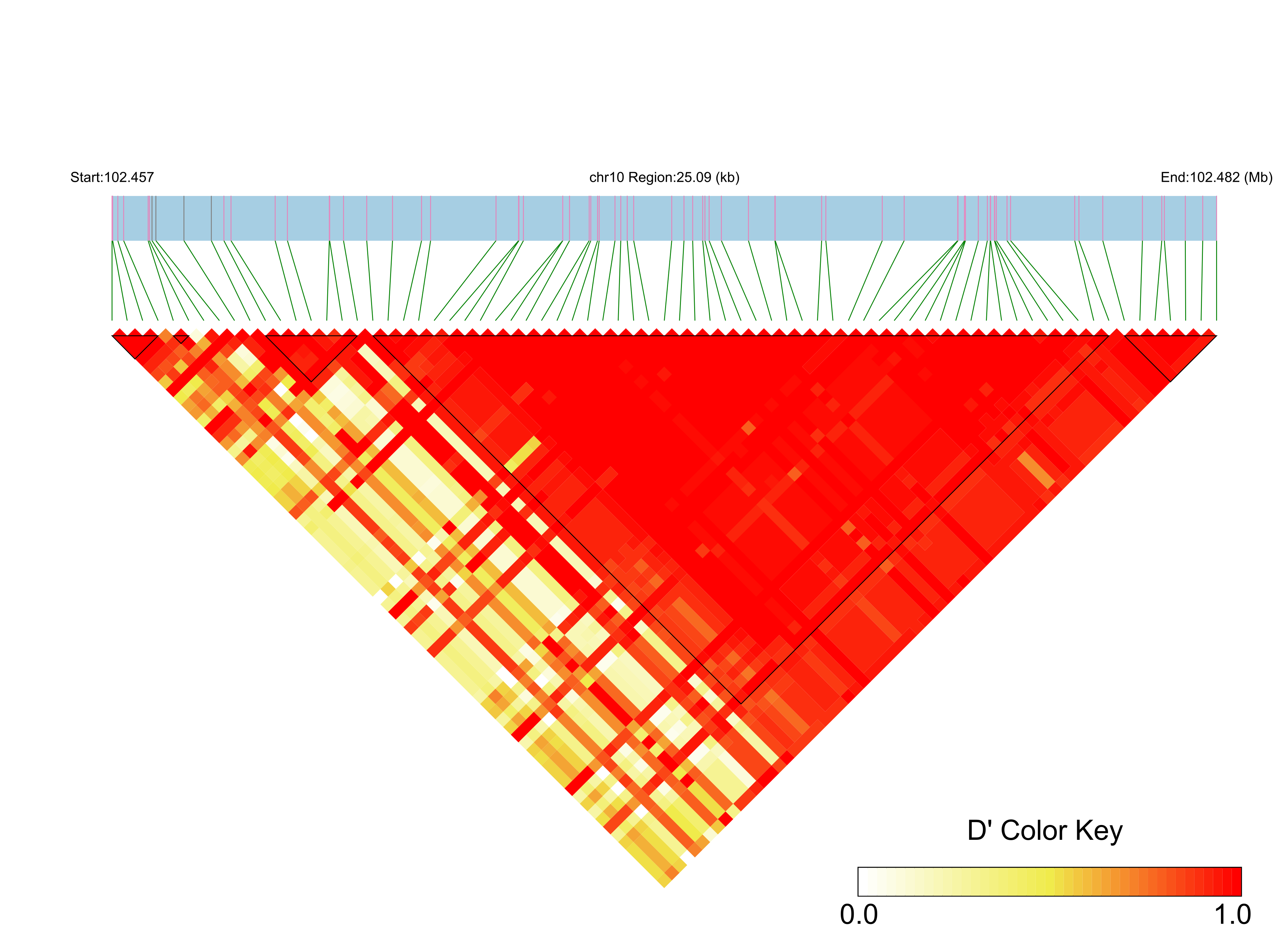 LD