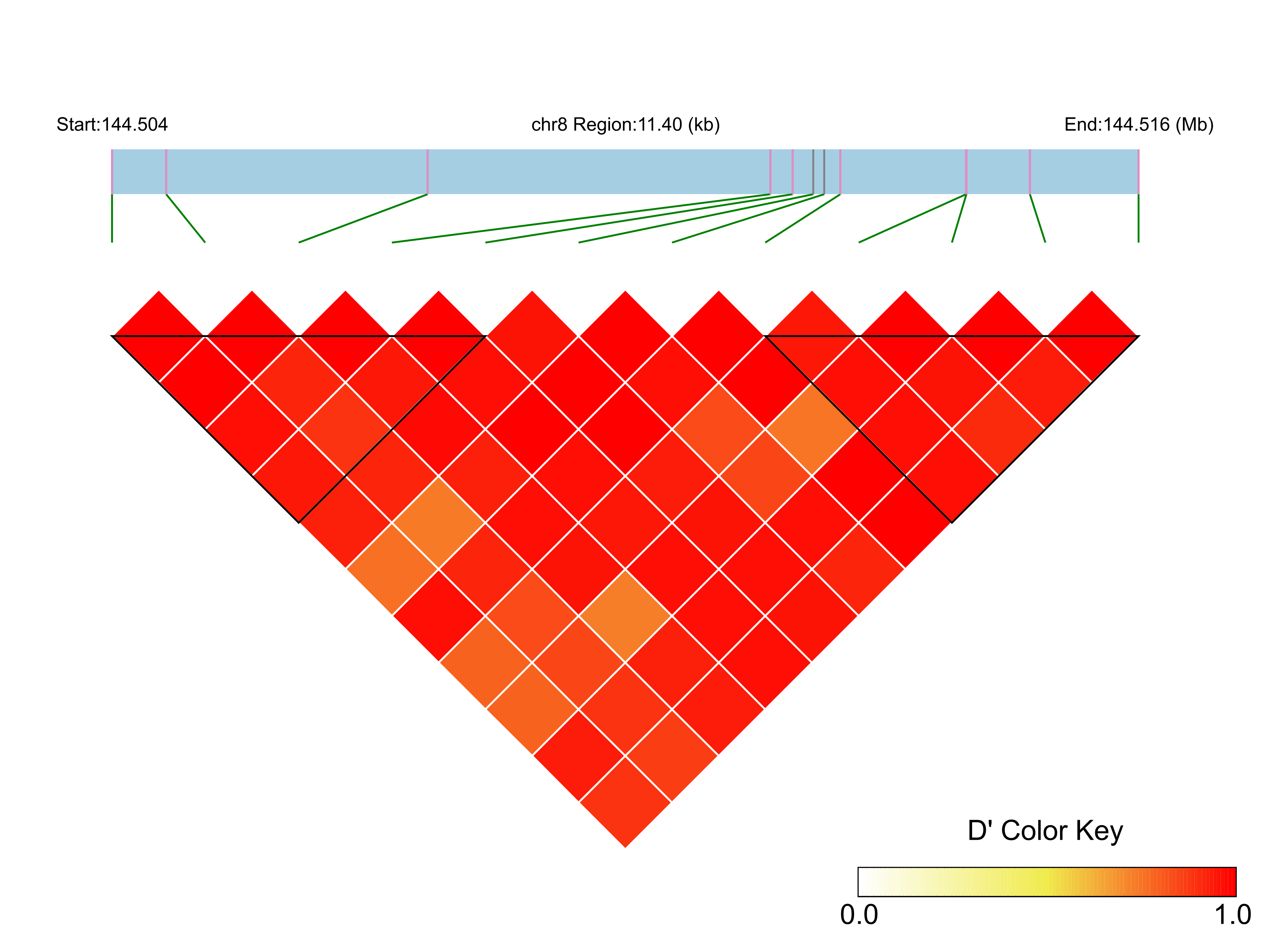 LD