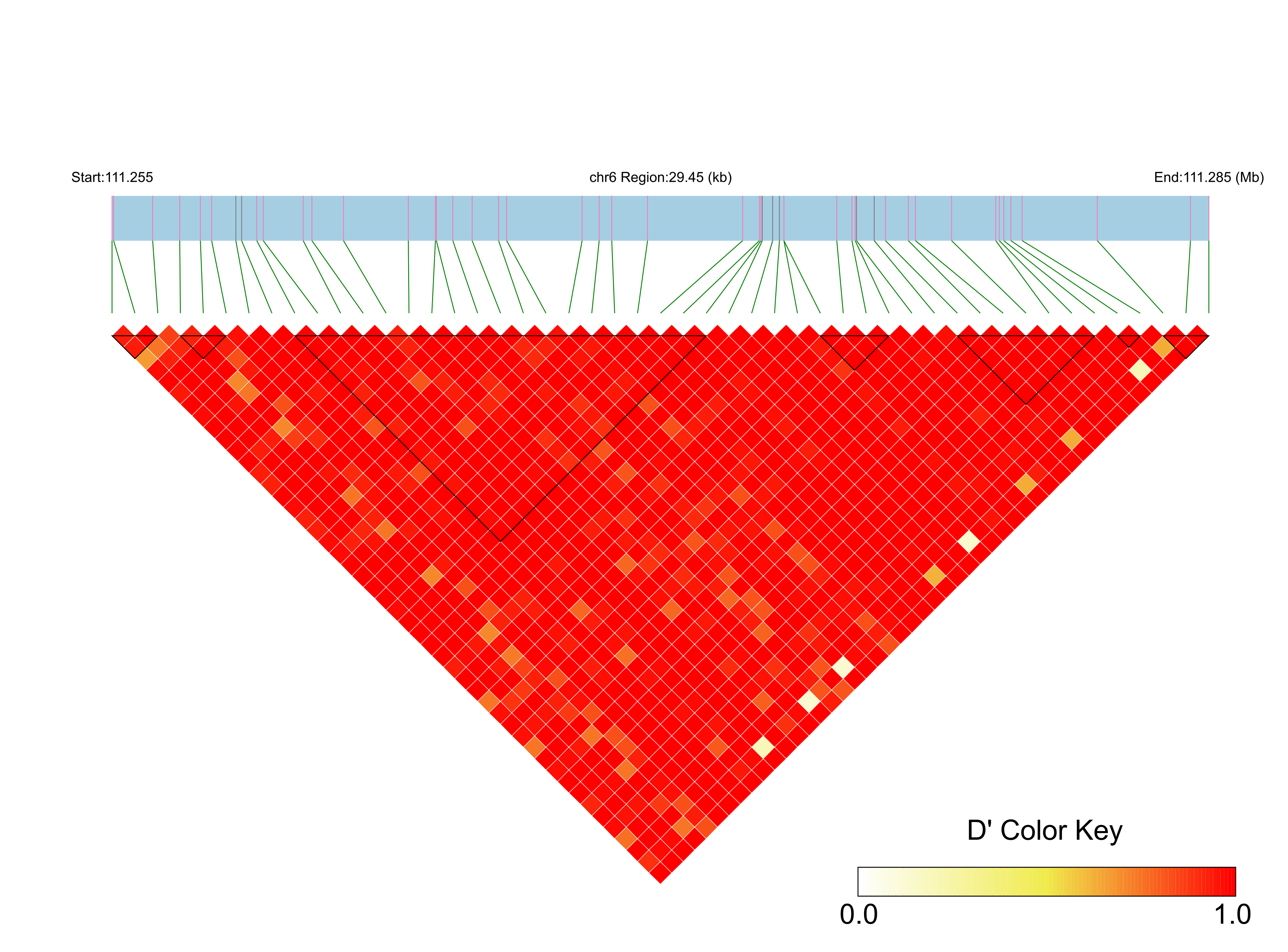 LD