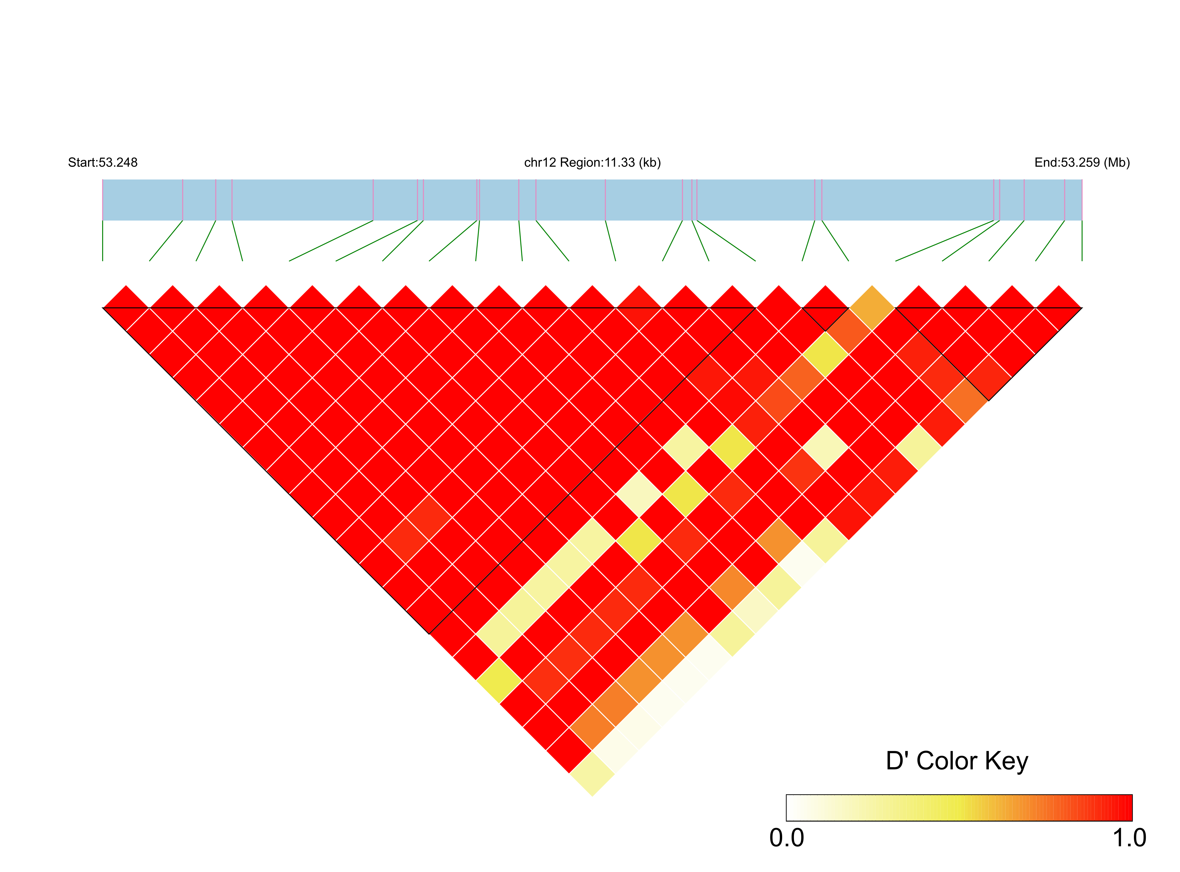 LD