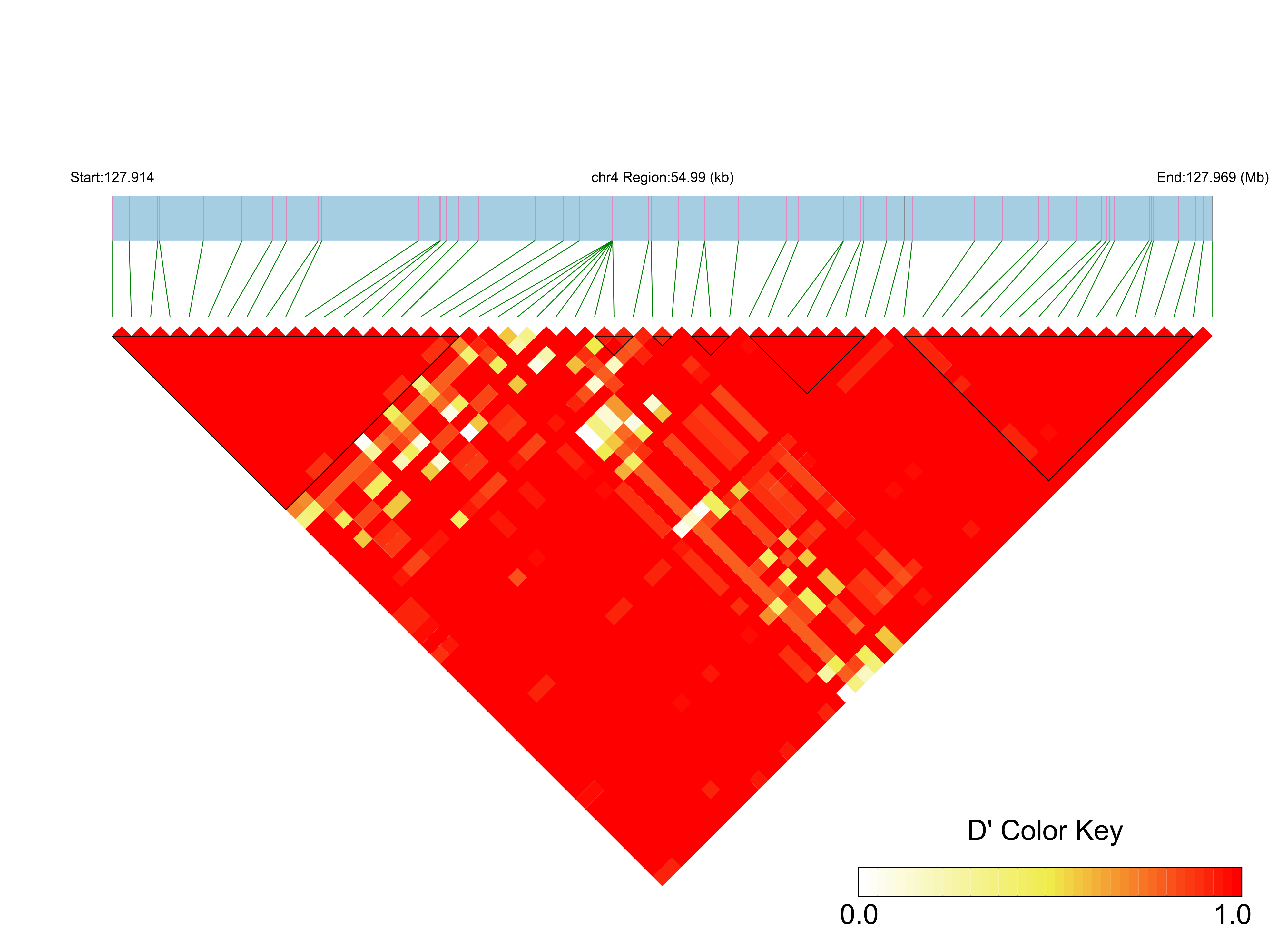 LD