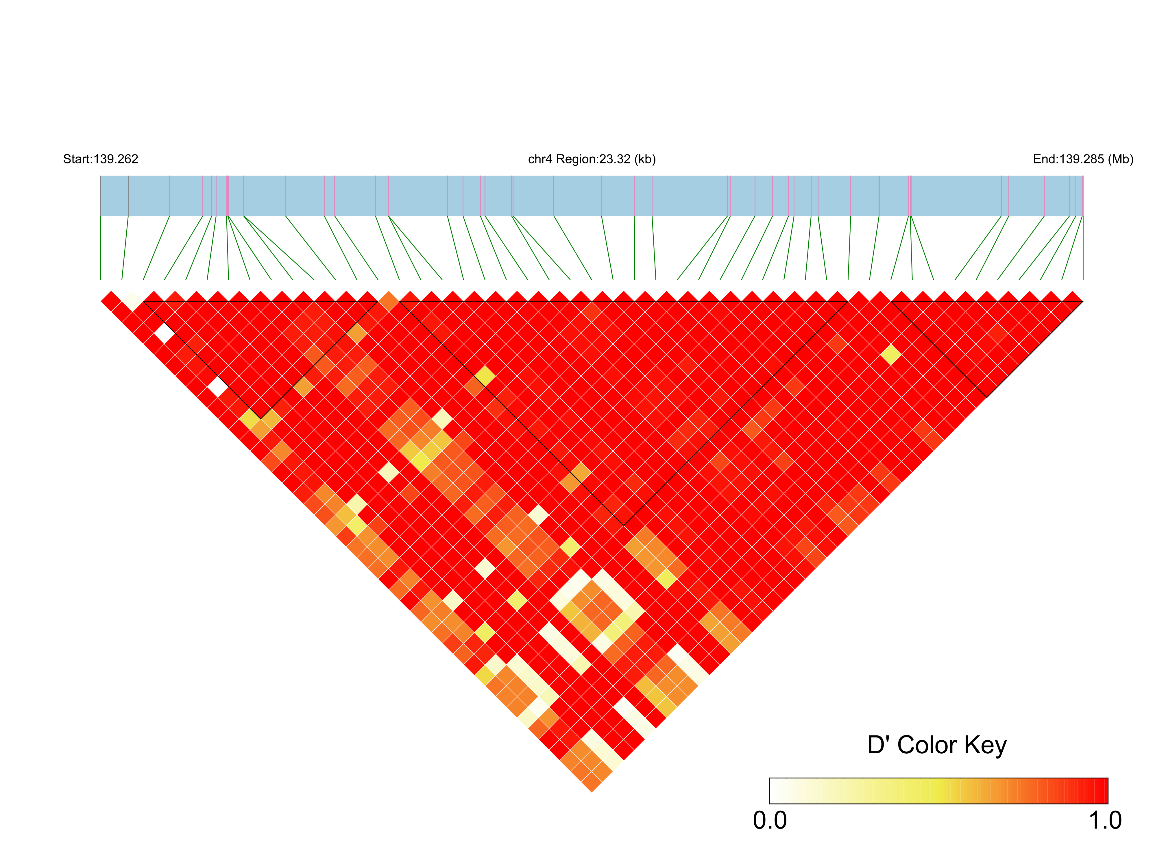 LD