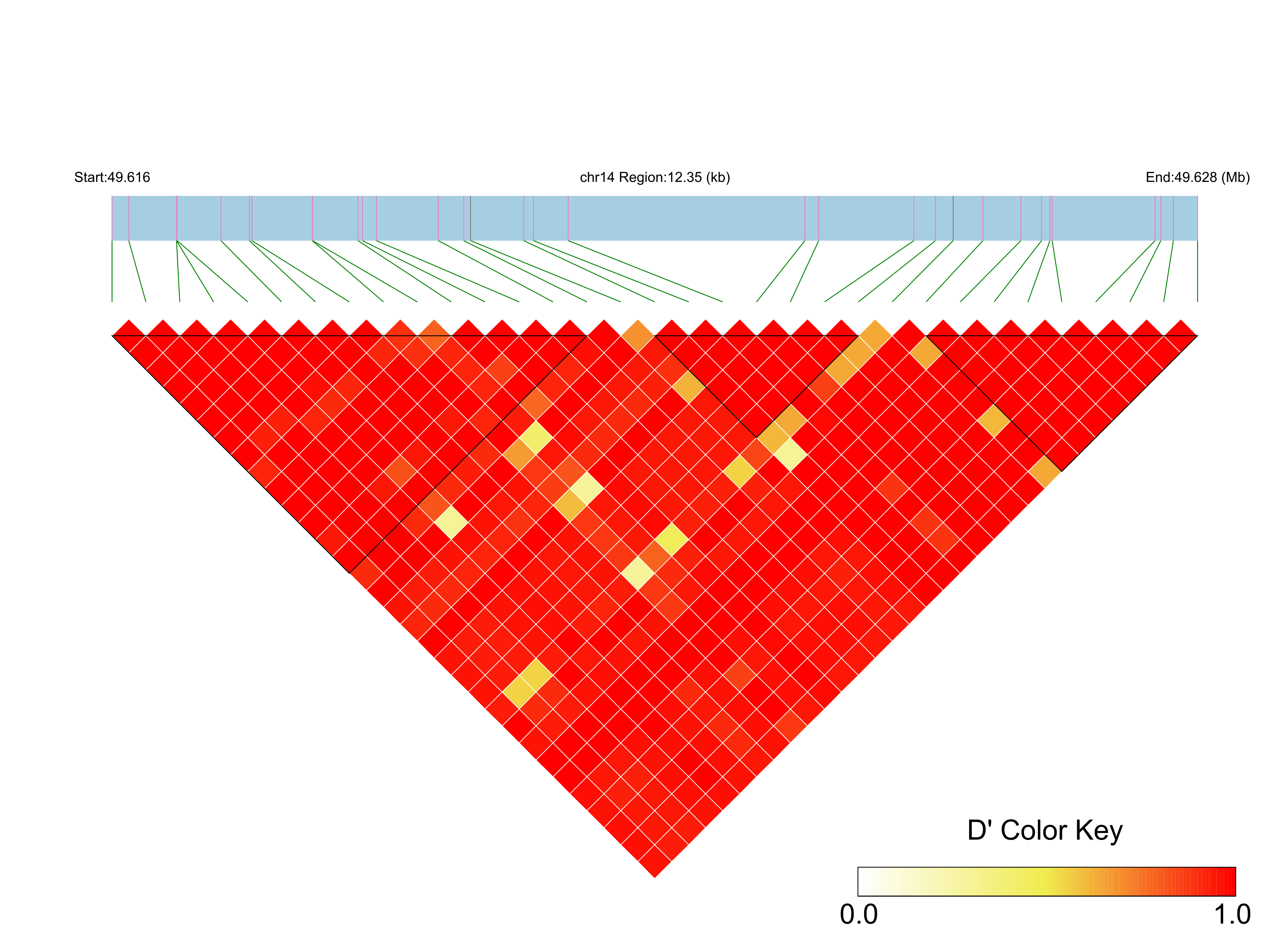 LD