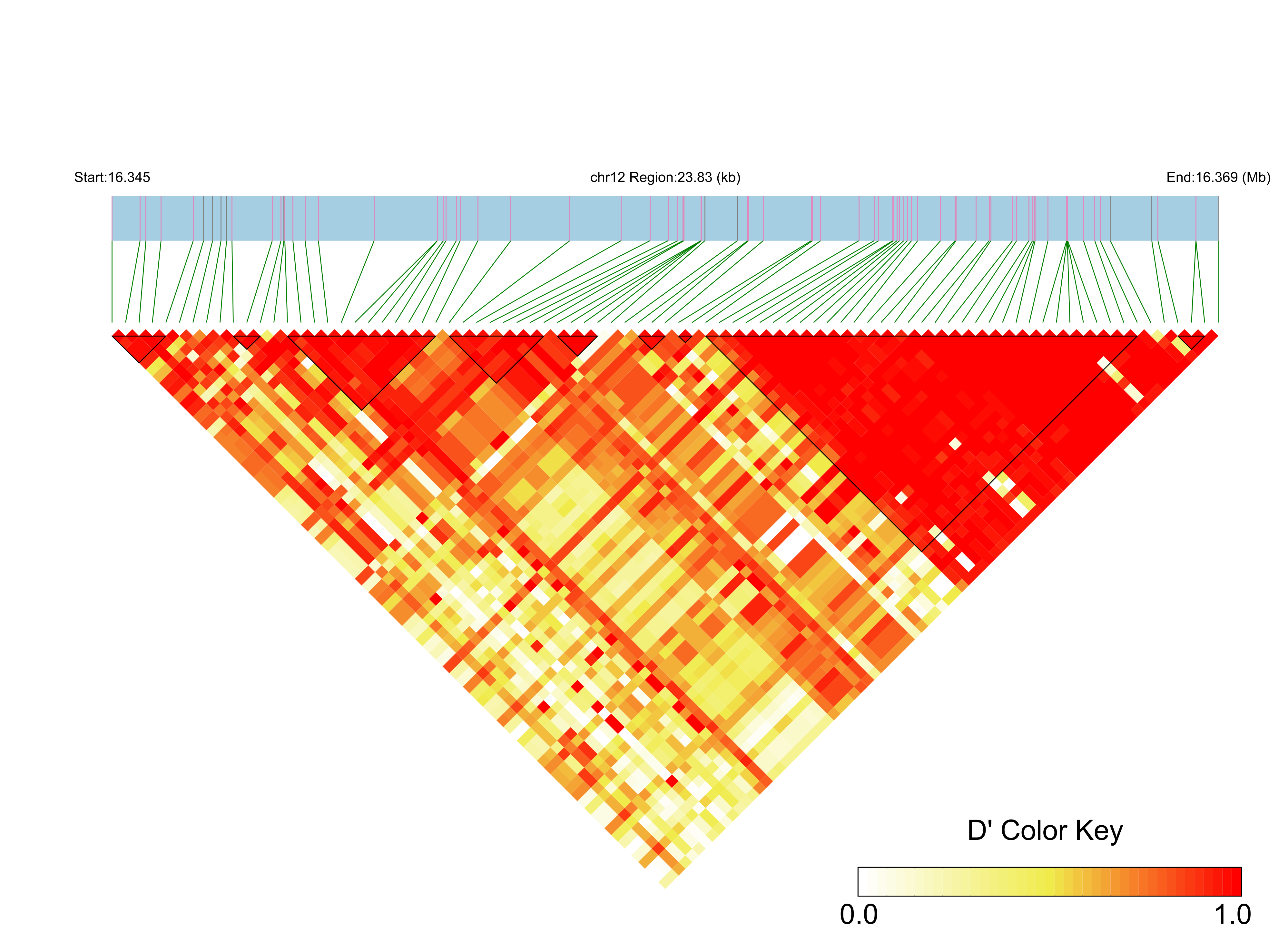 LD