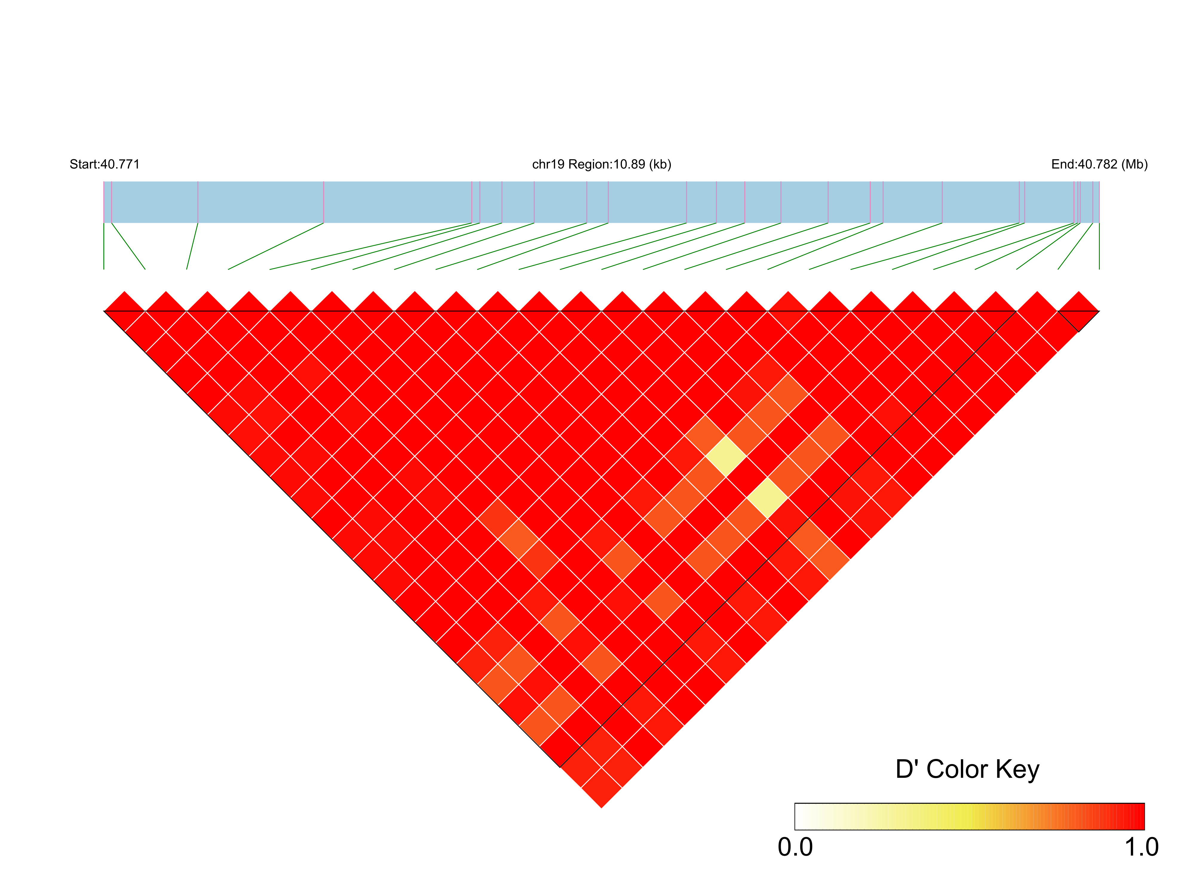 LD