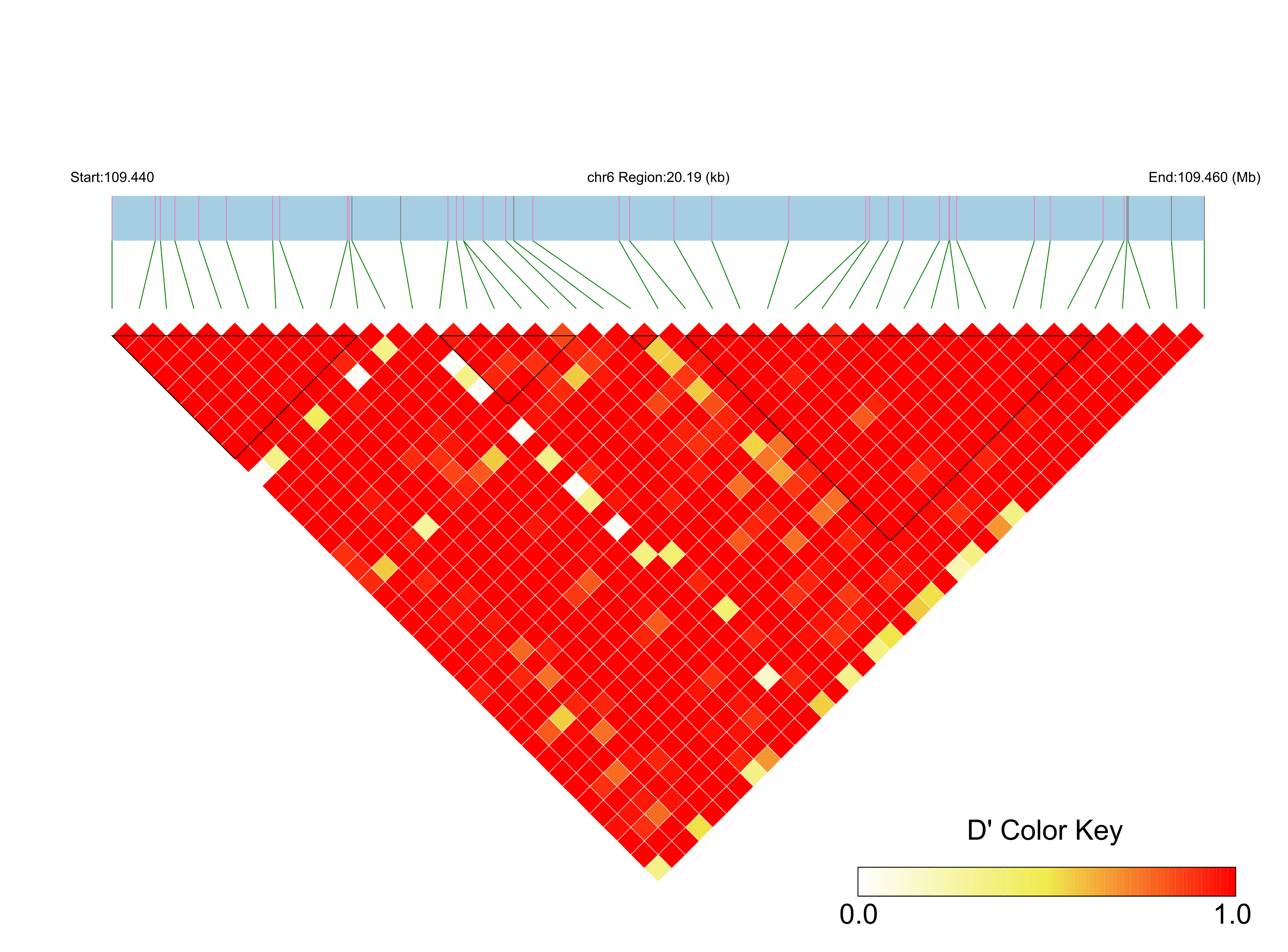 LD