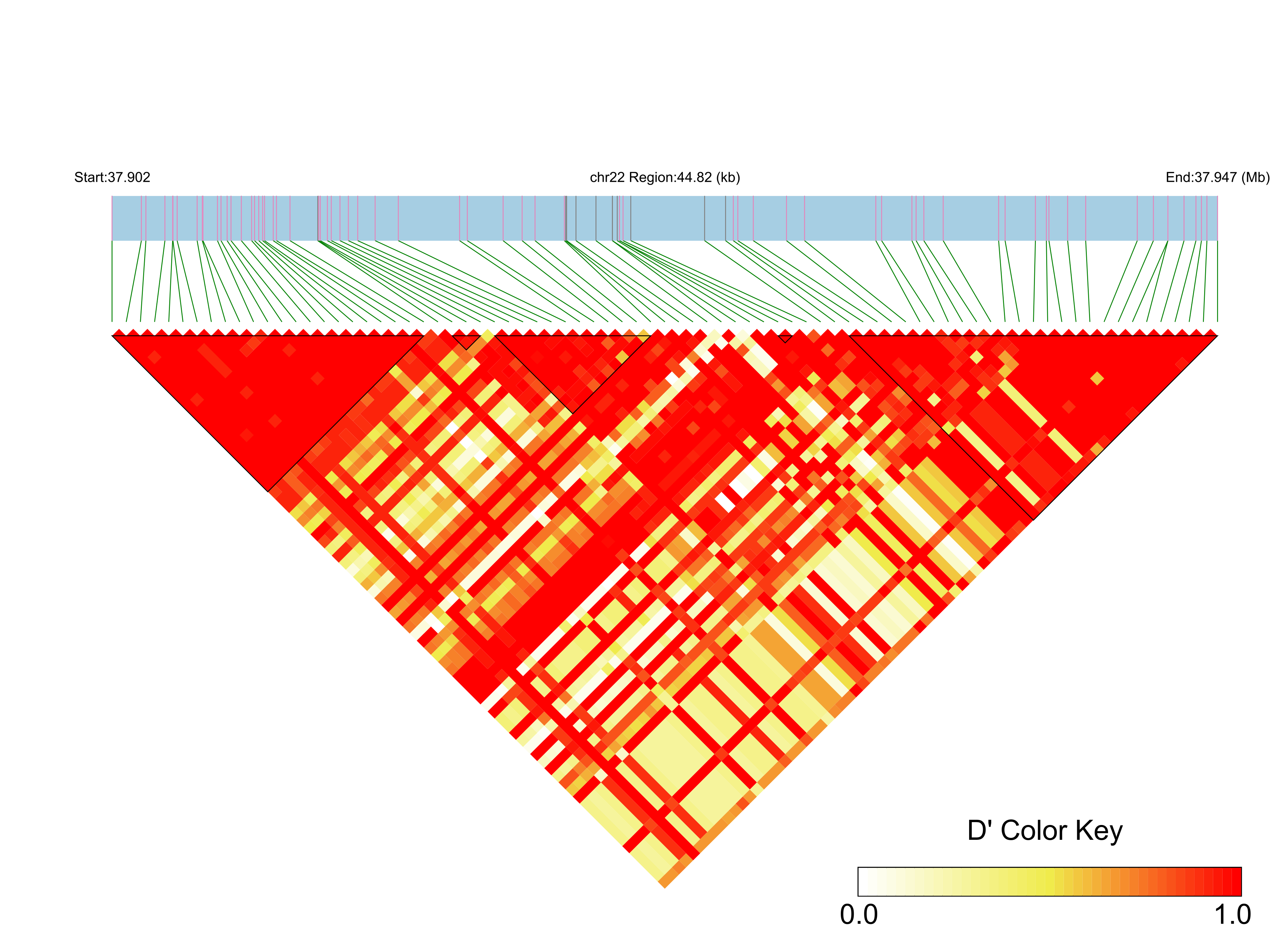 LD