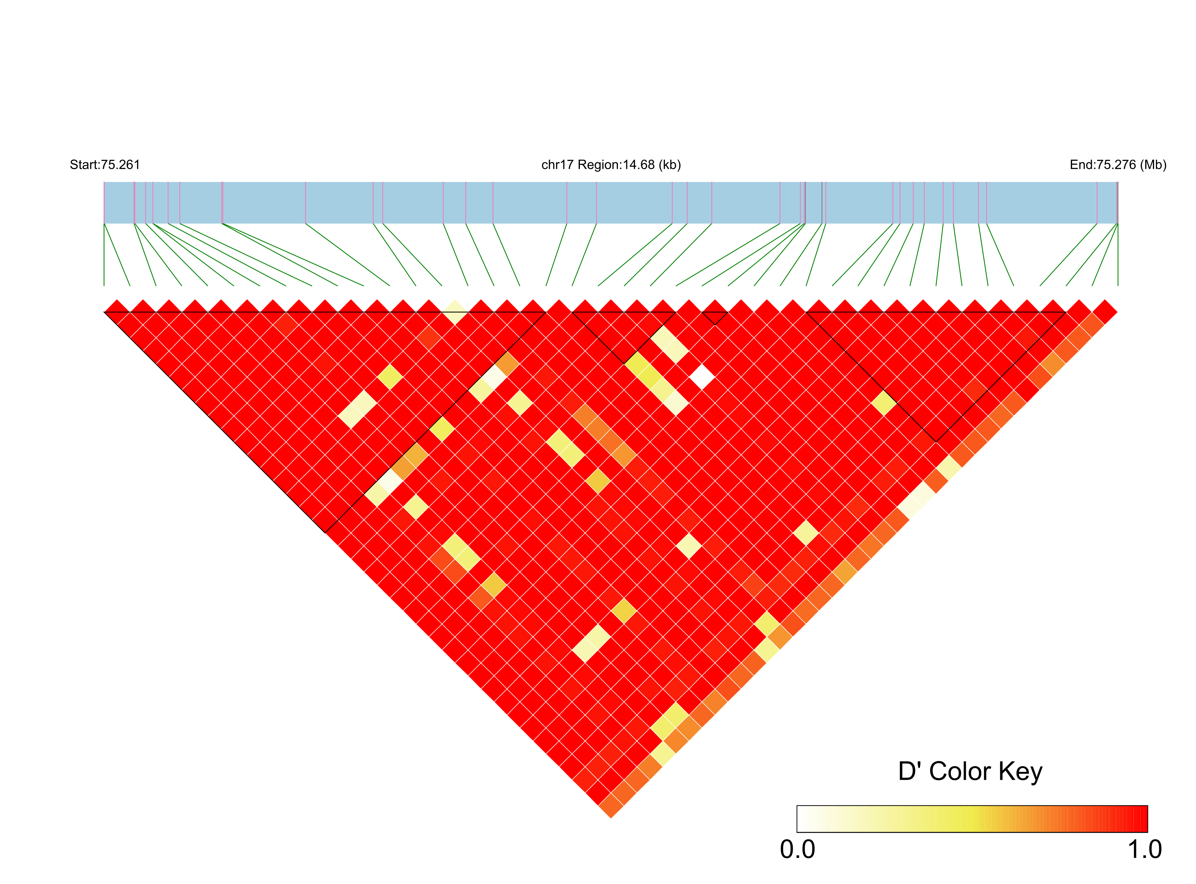 LD