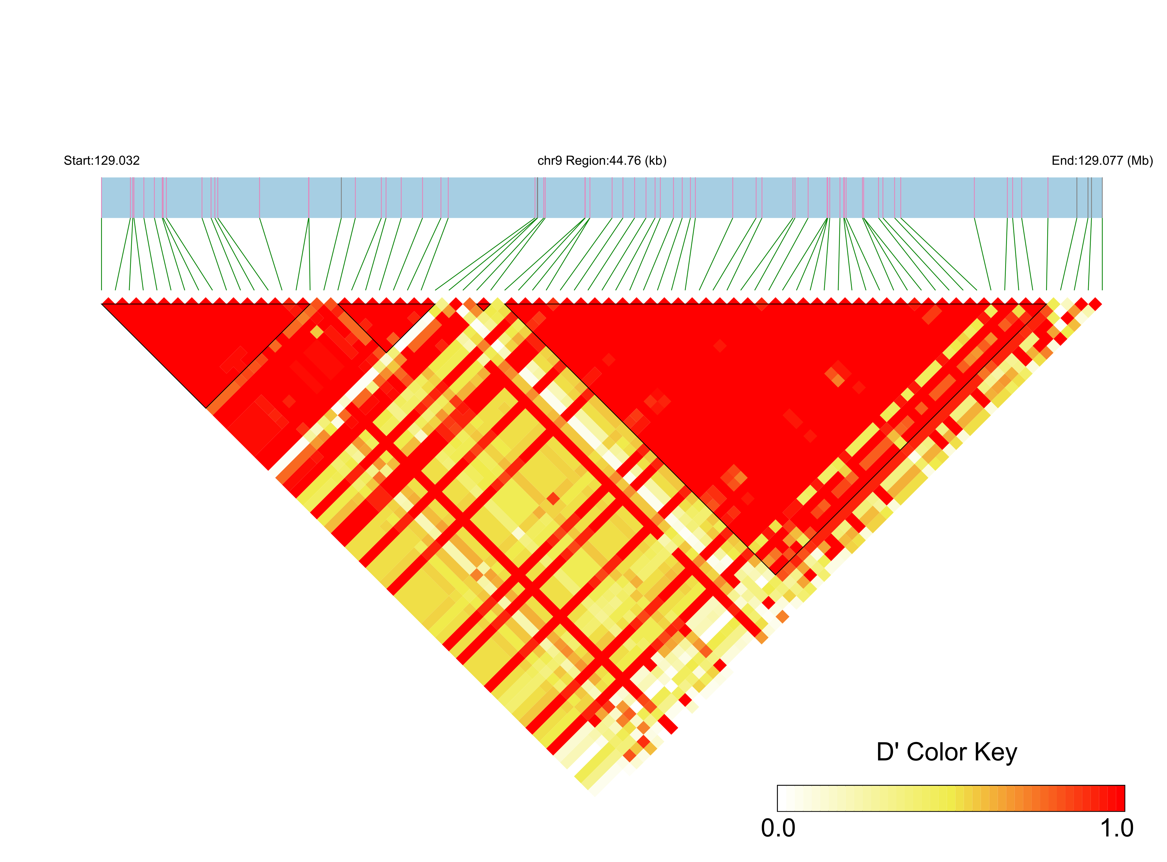 LD