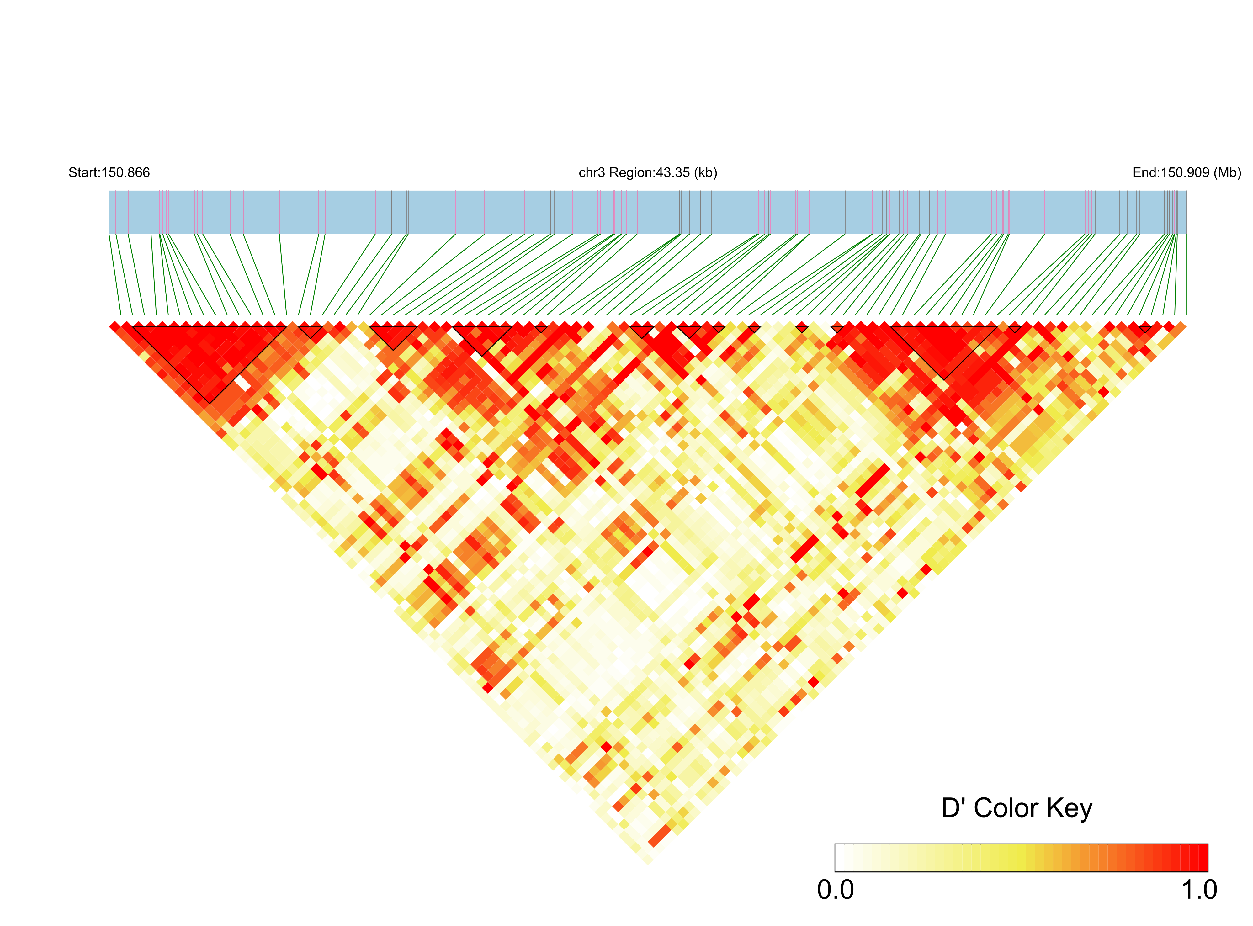 LD