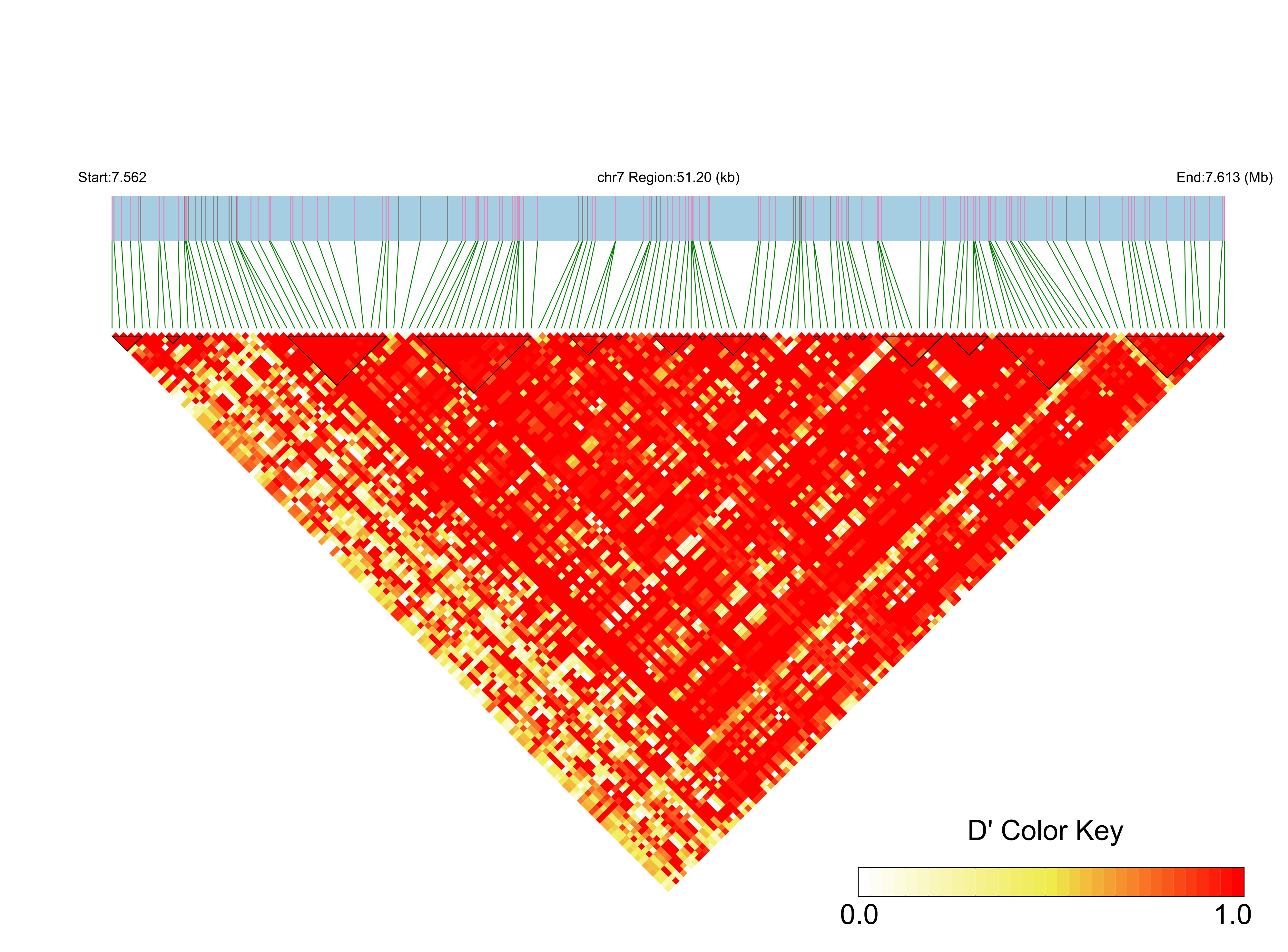 LD