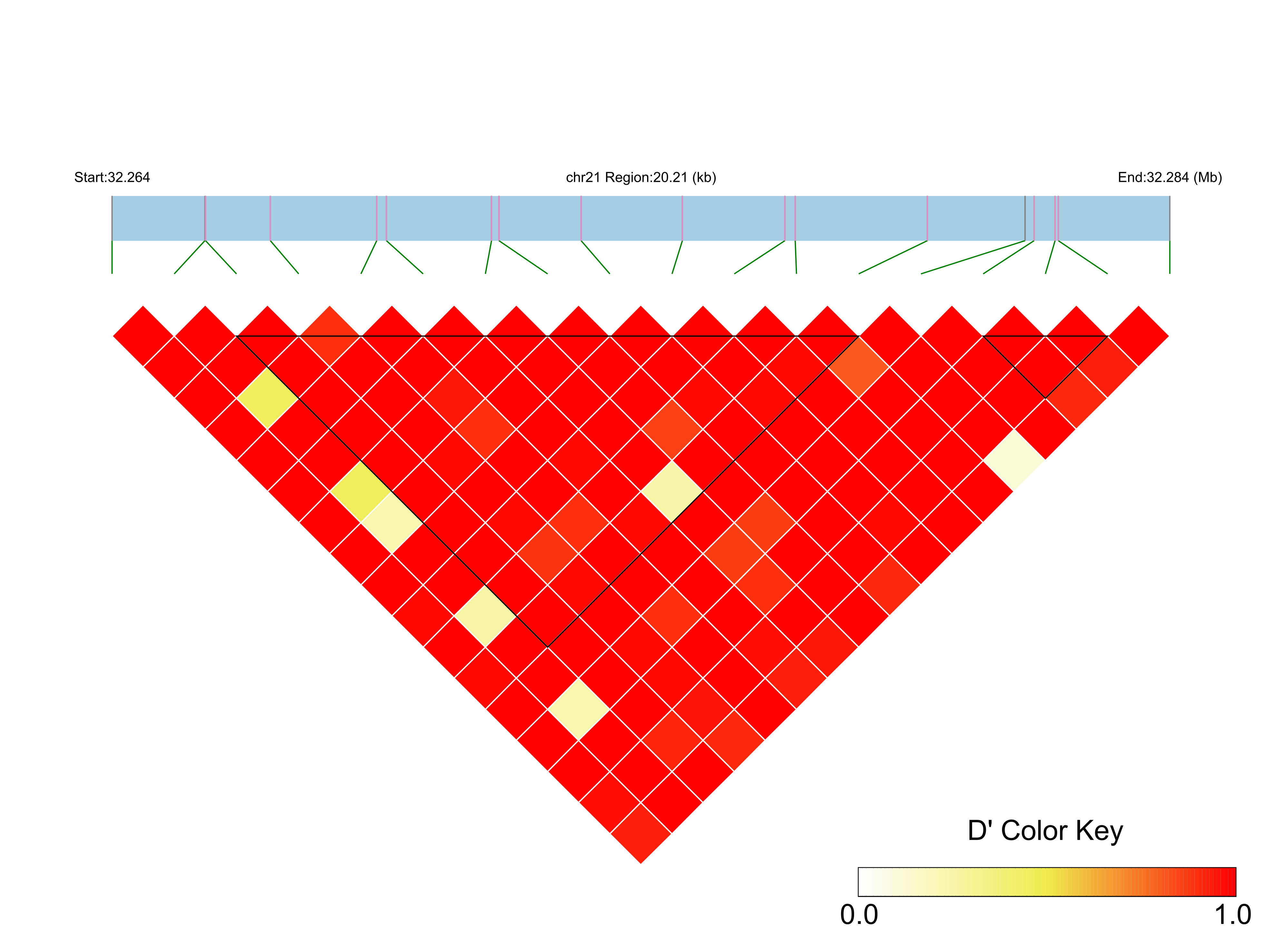 LD