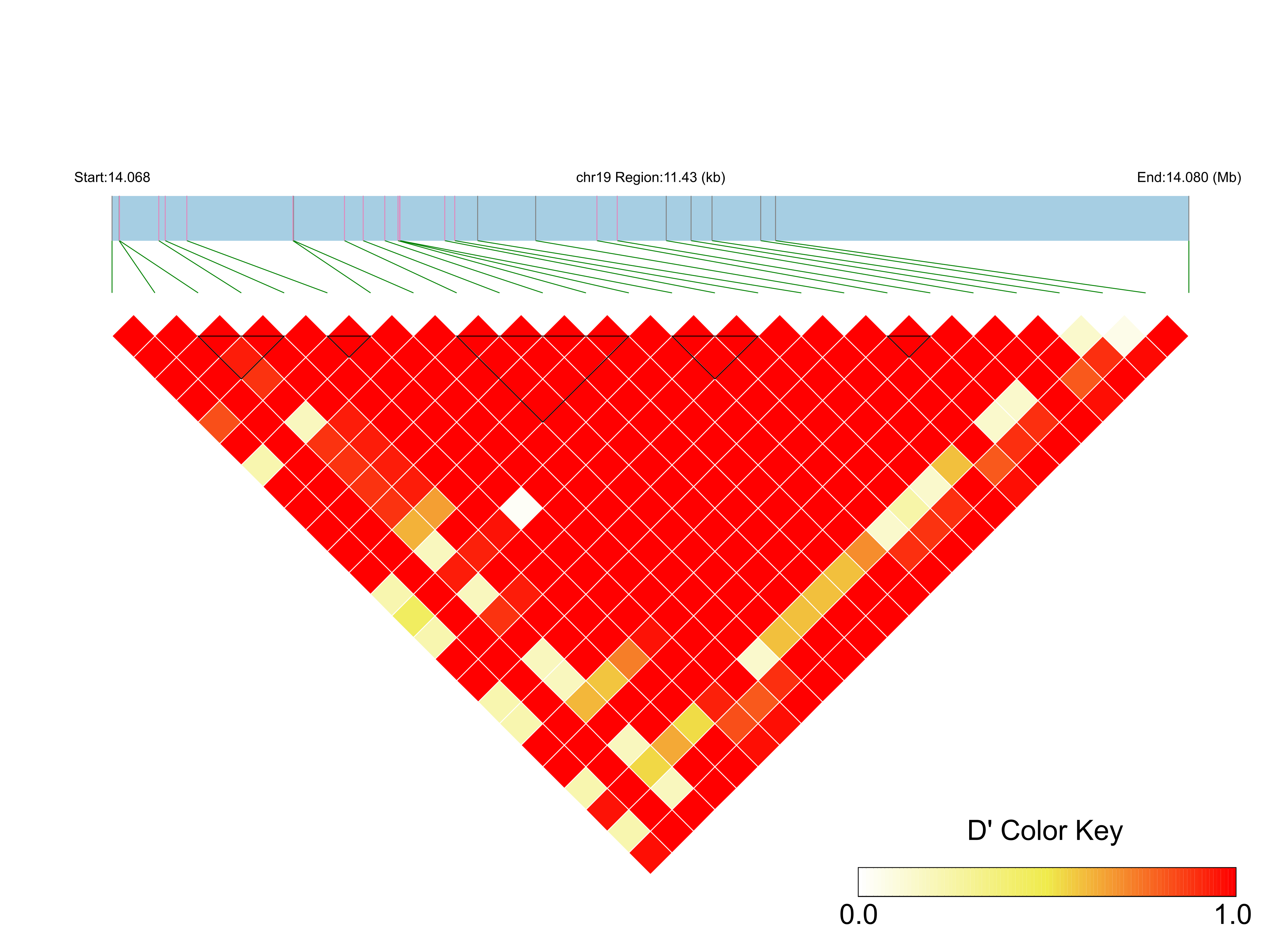 LD