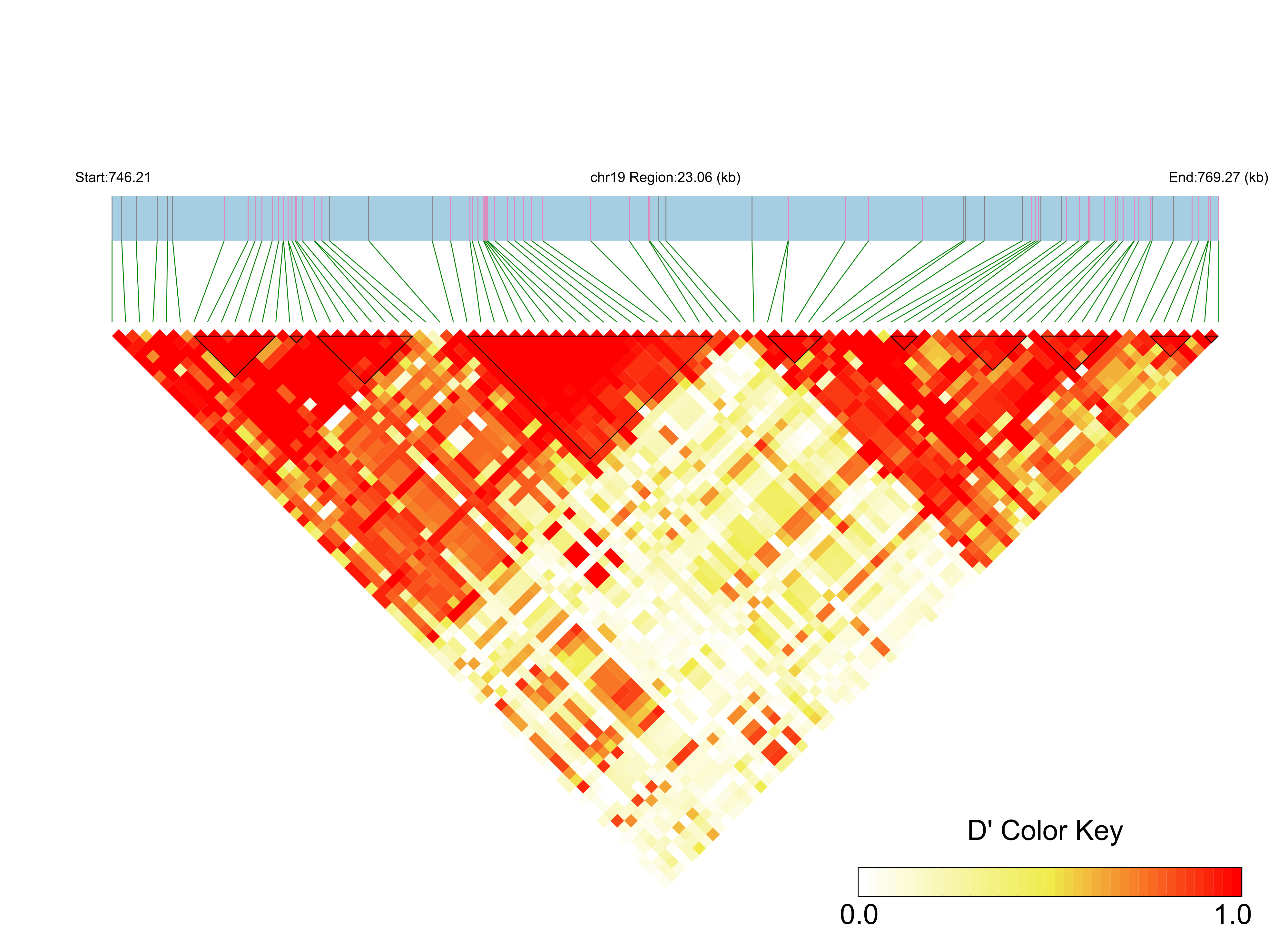 LD