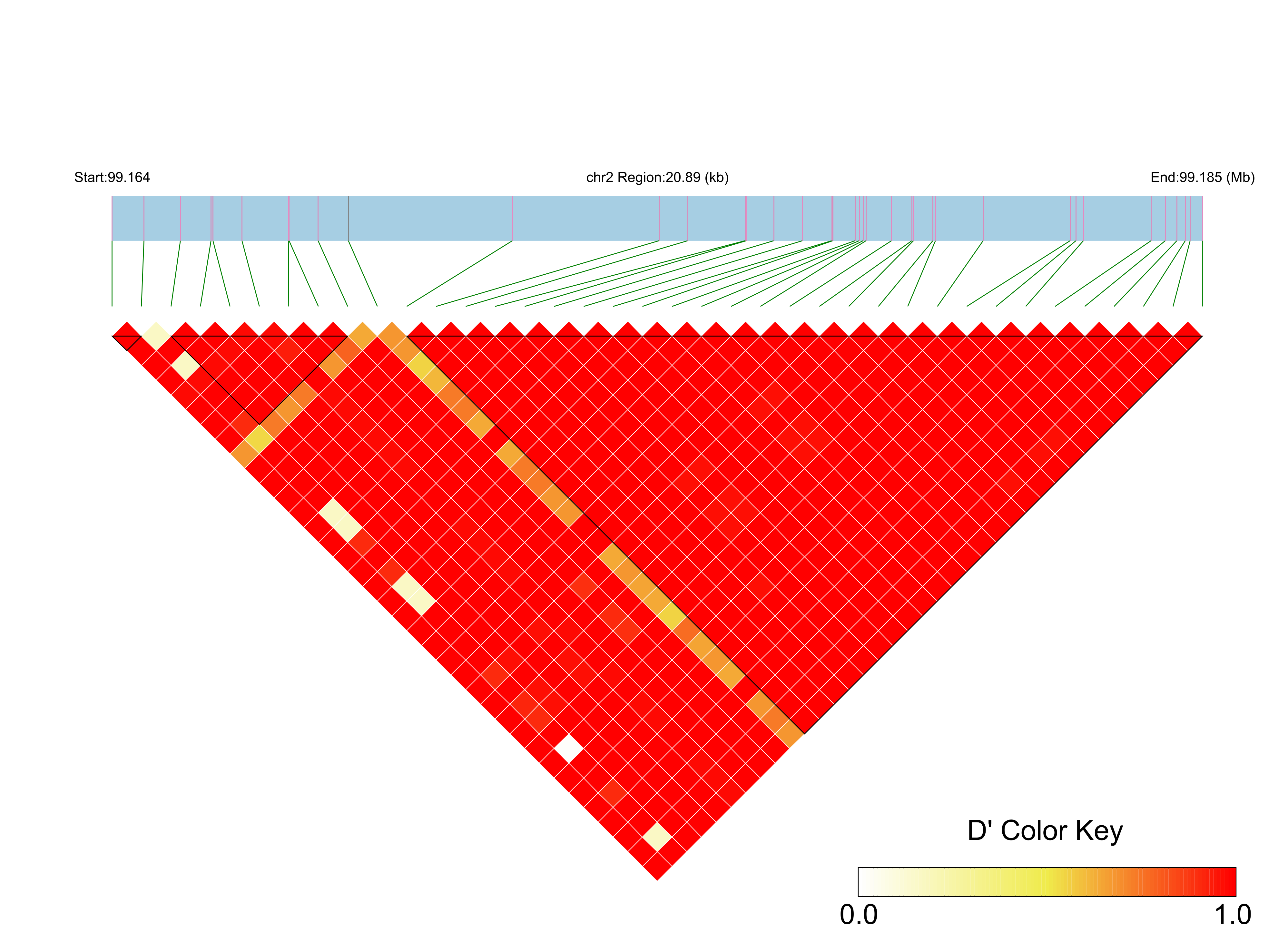 LD
