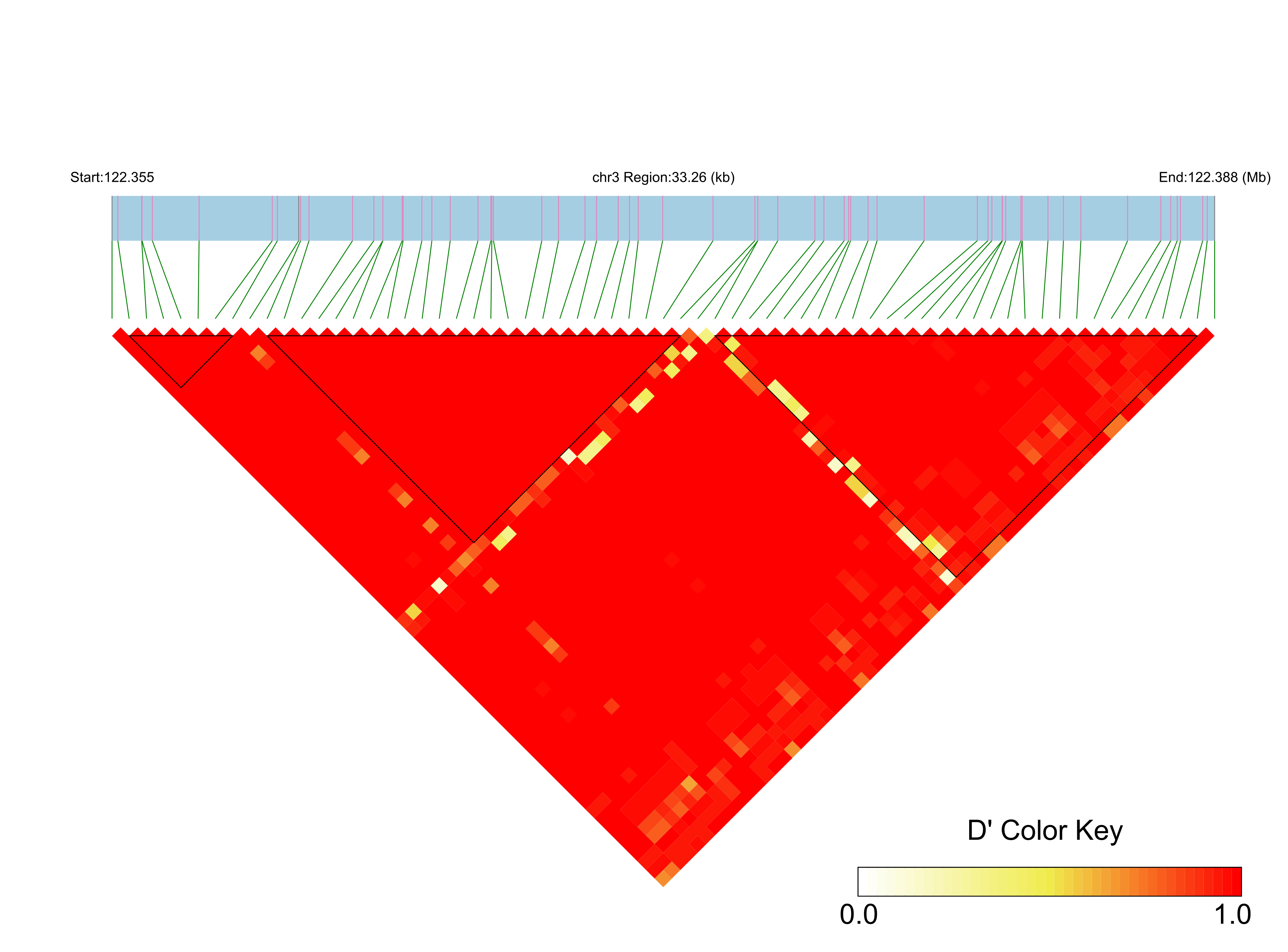 LD