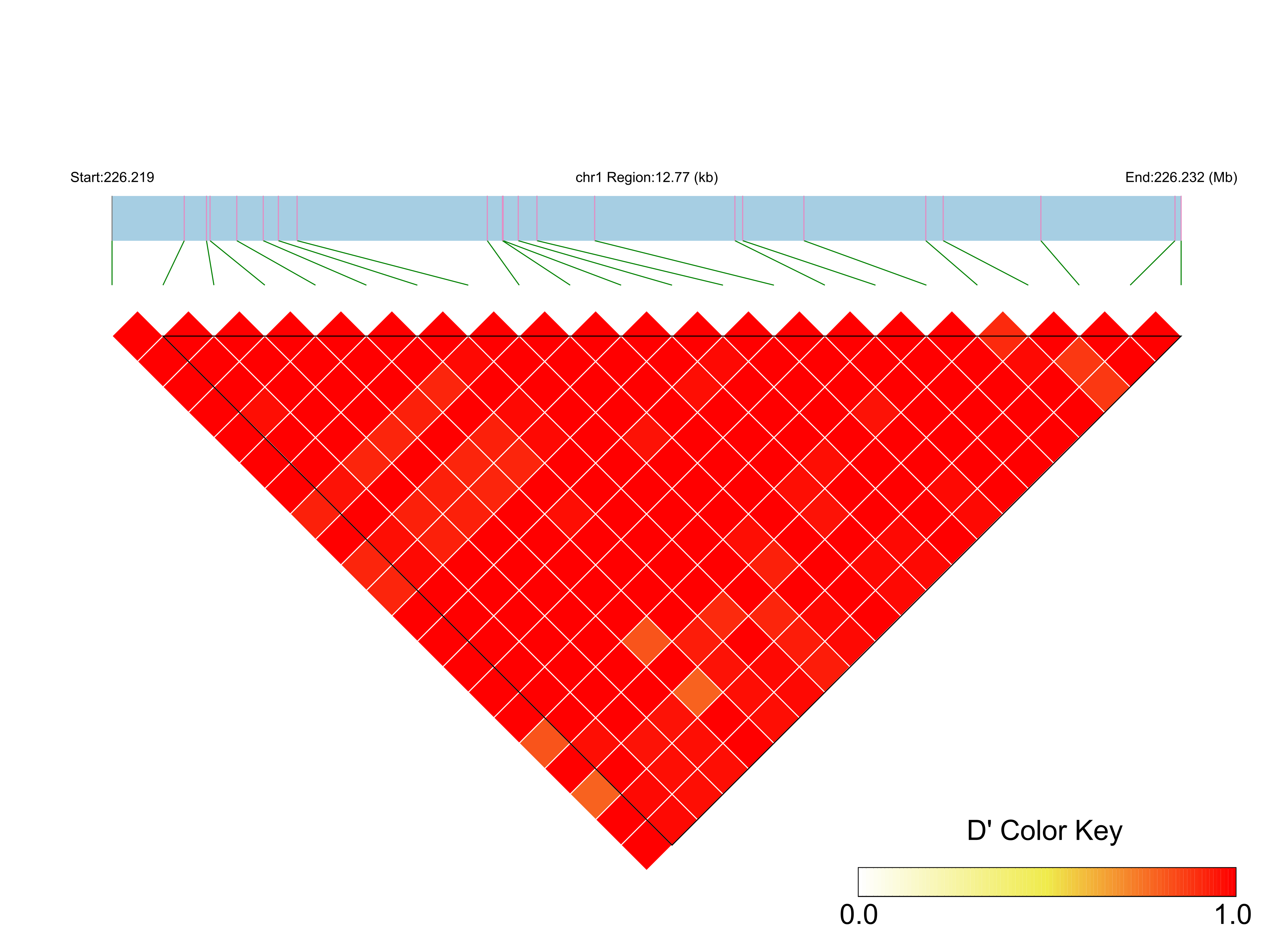 LD