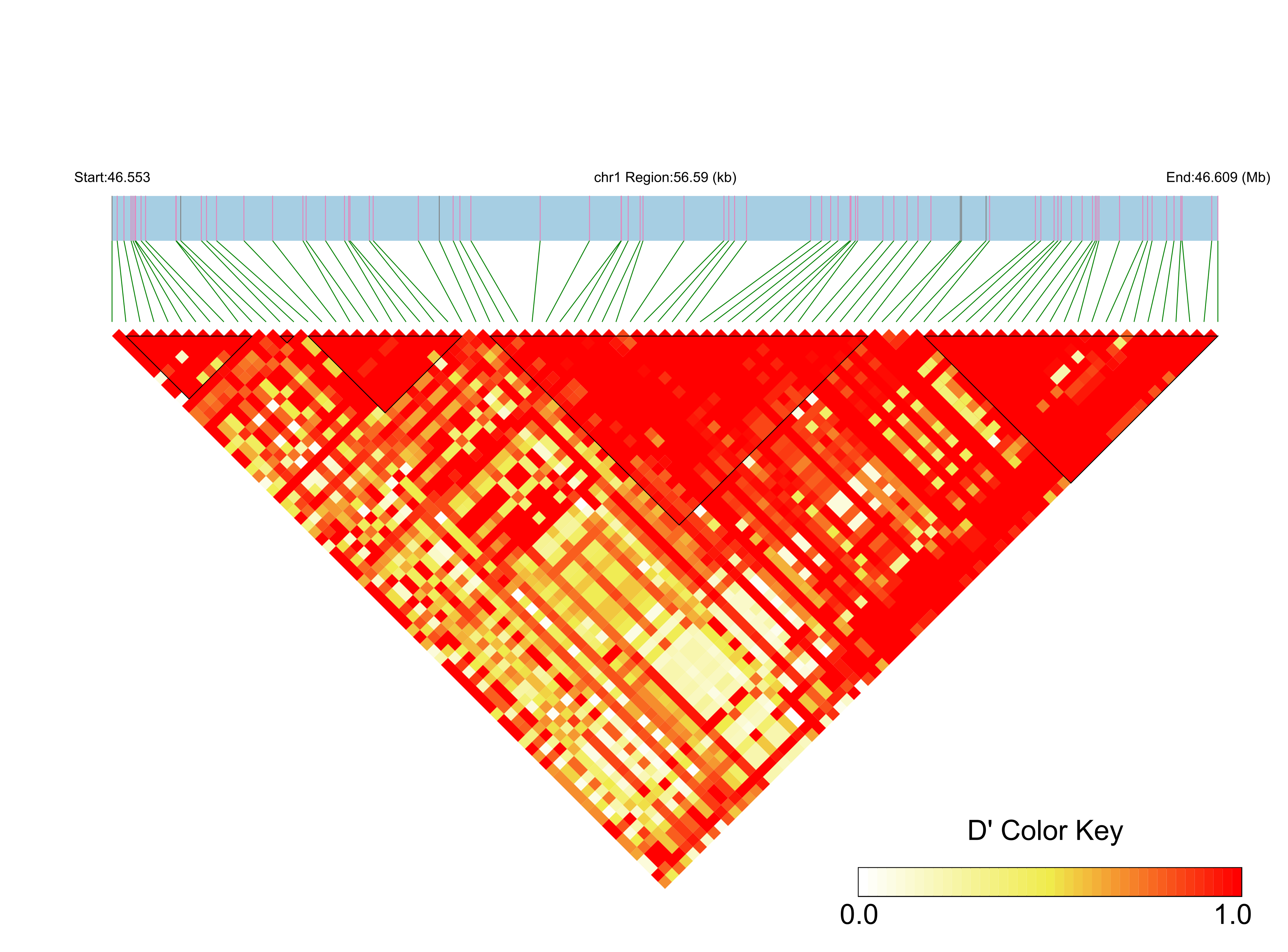 LD
