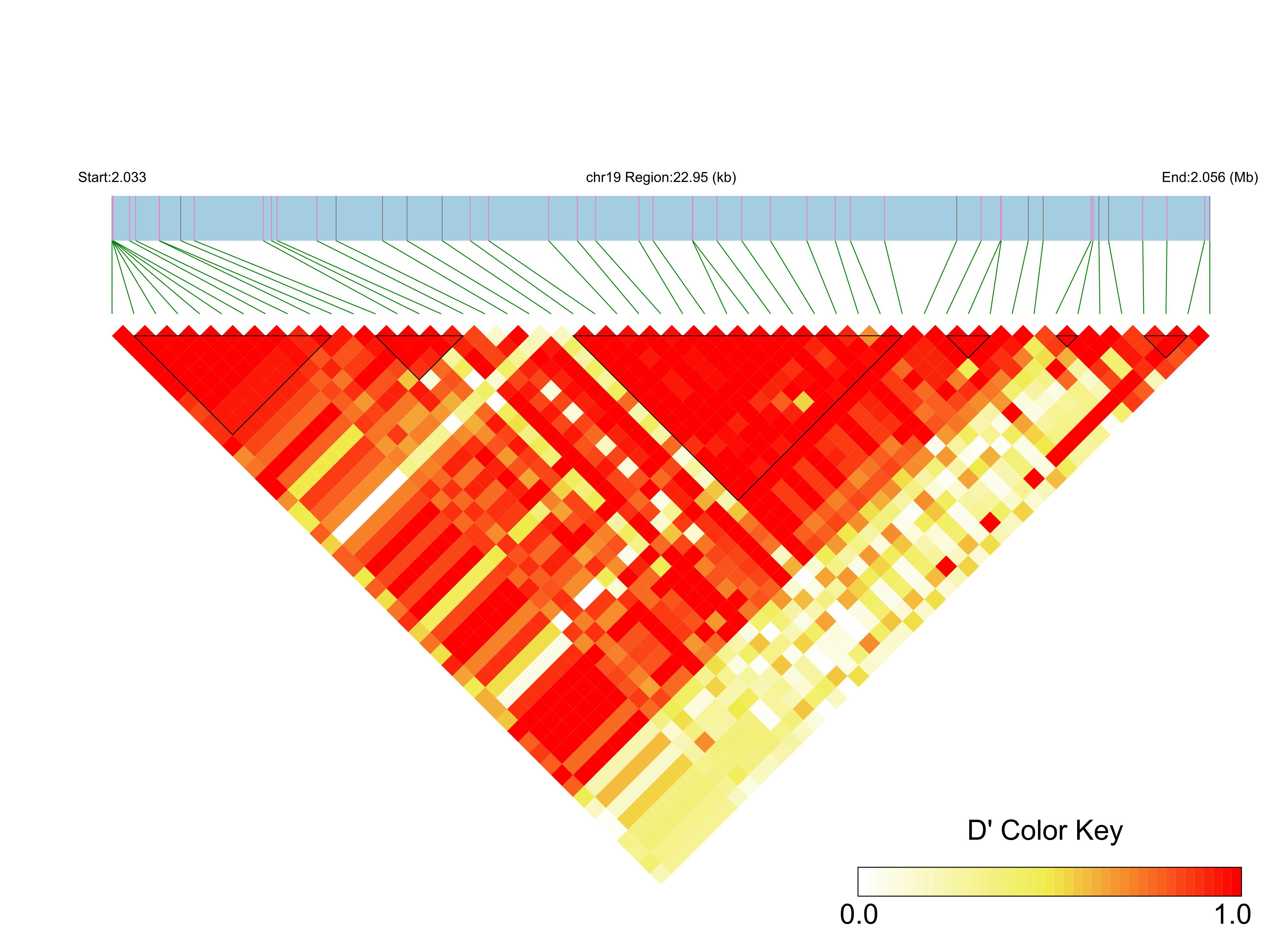 LD