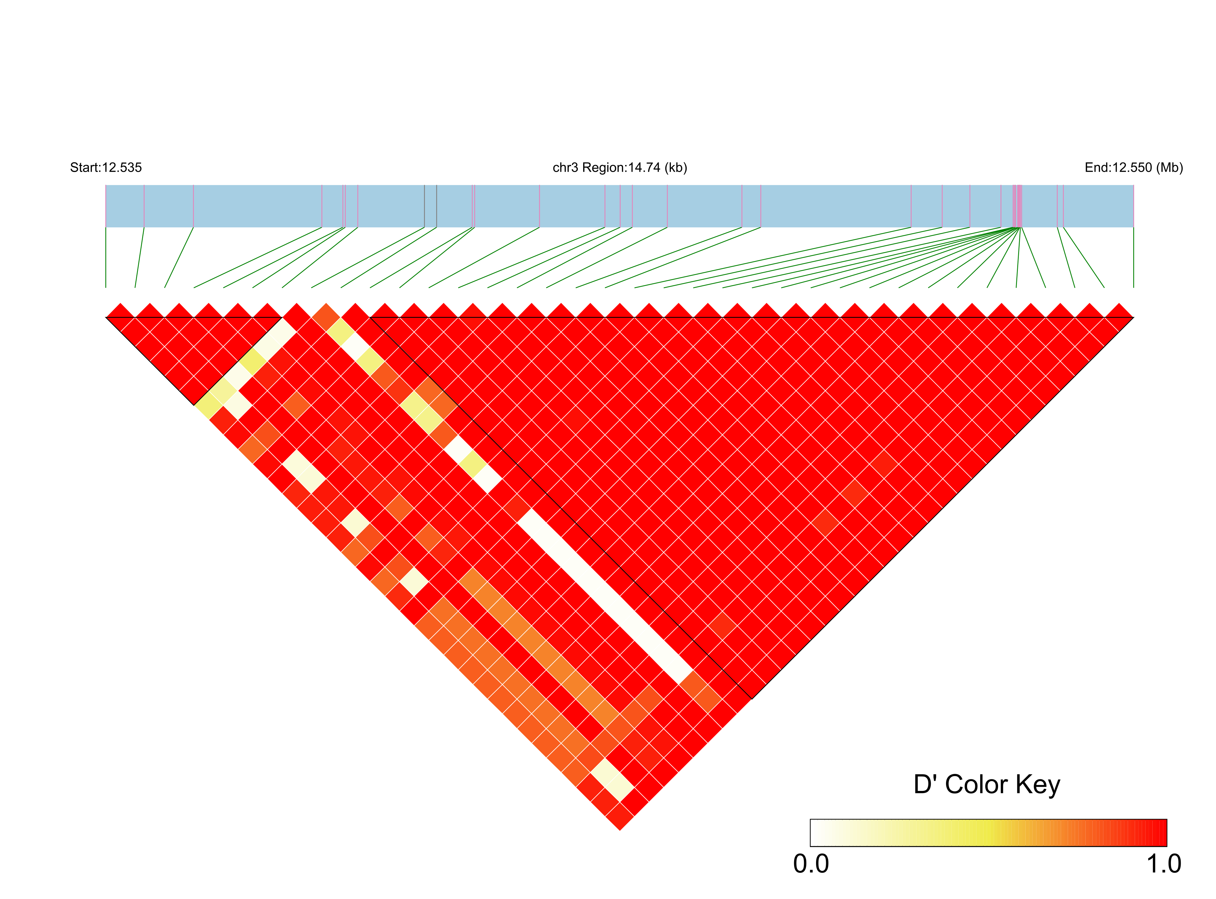 LD
