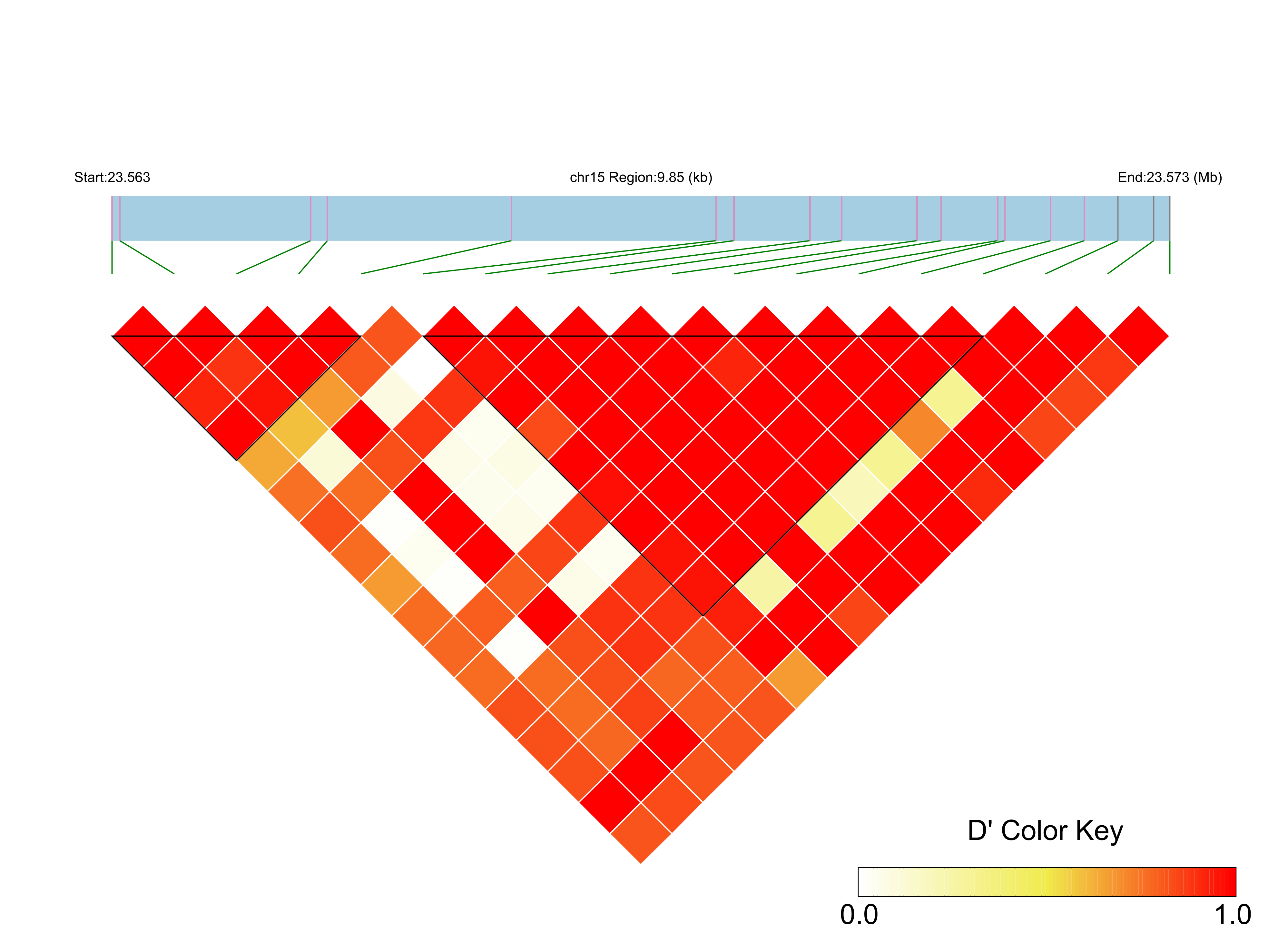 LD