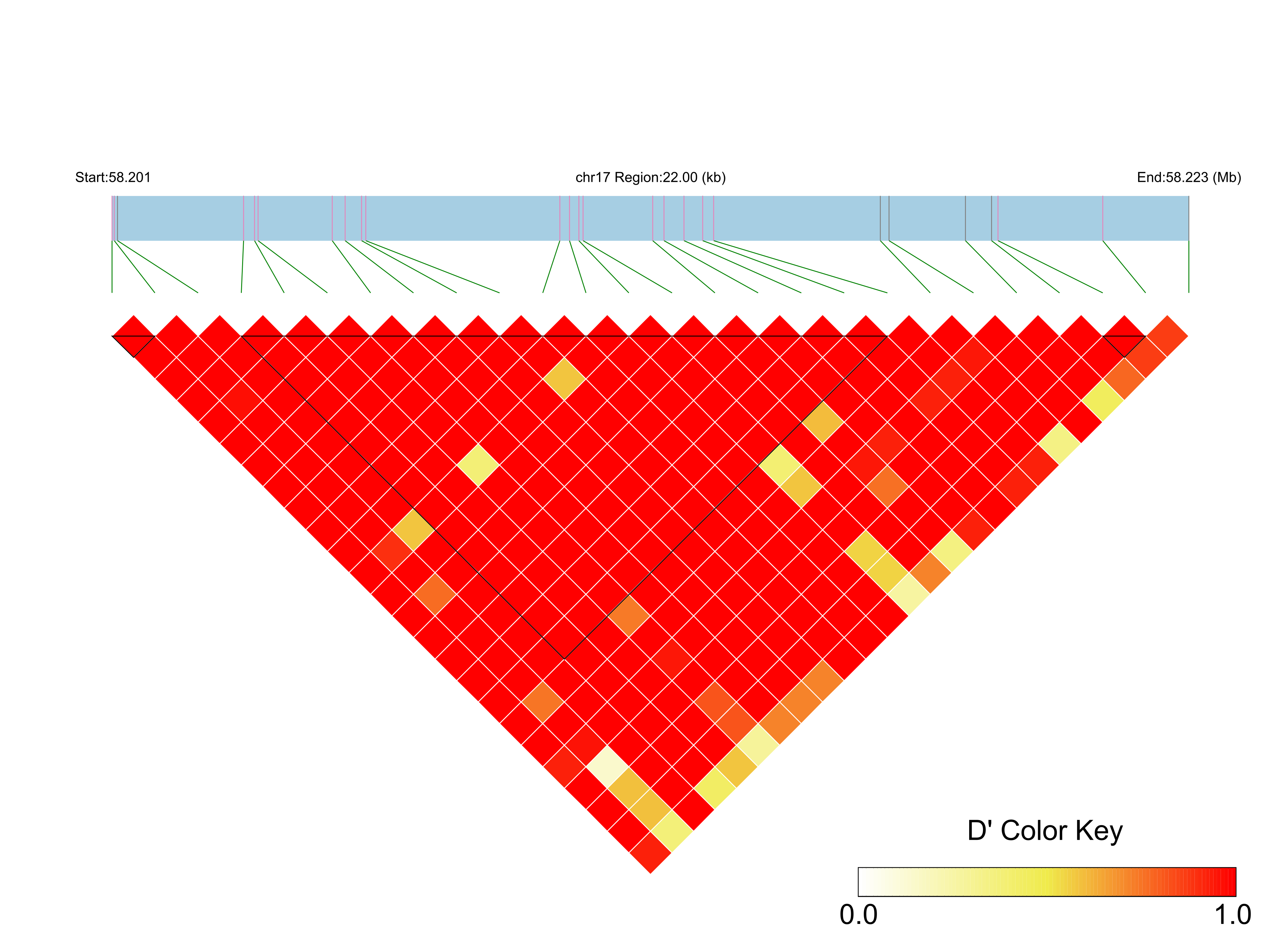 LD