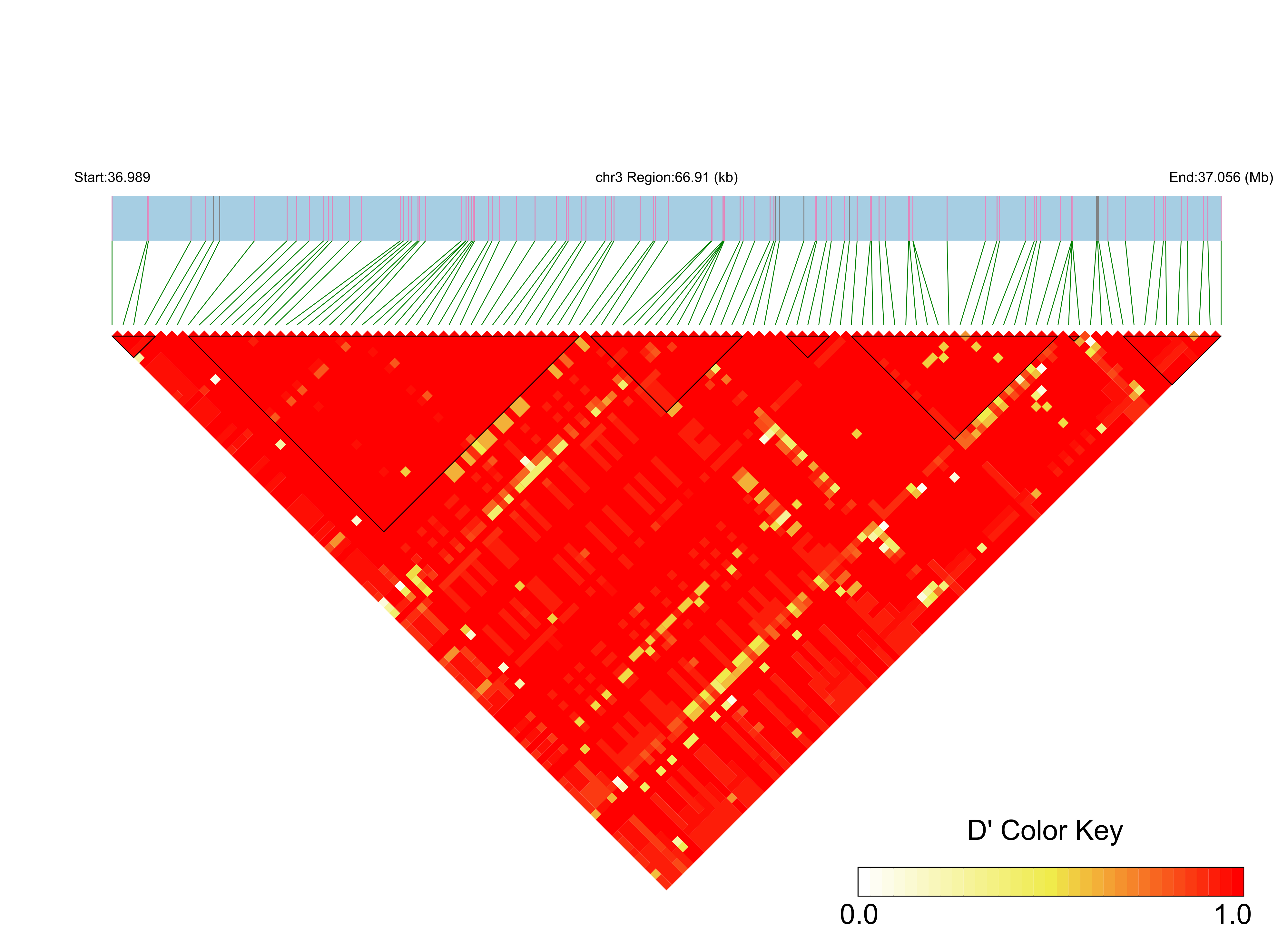 LD