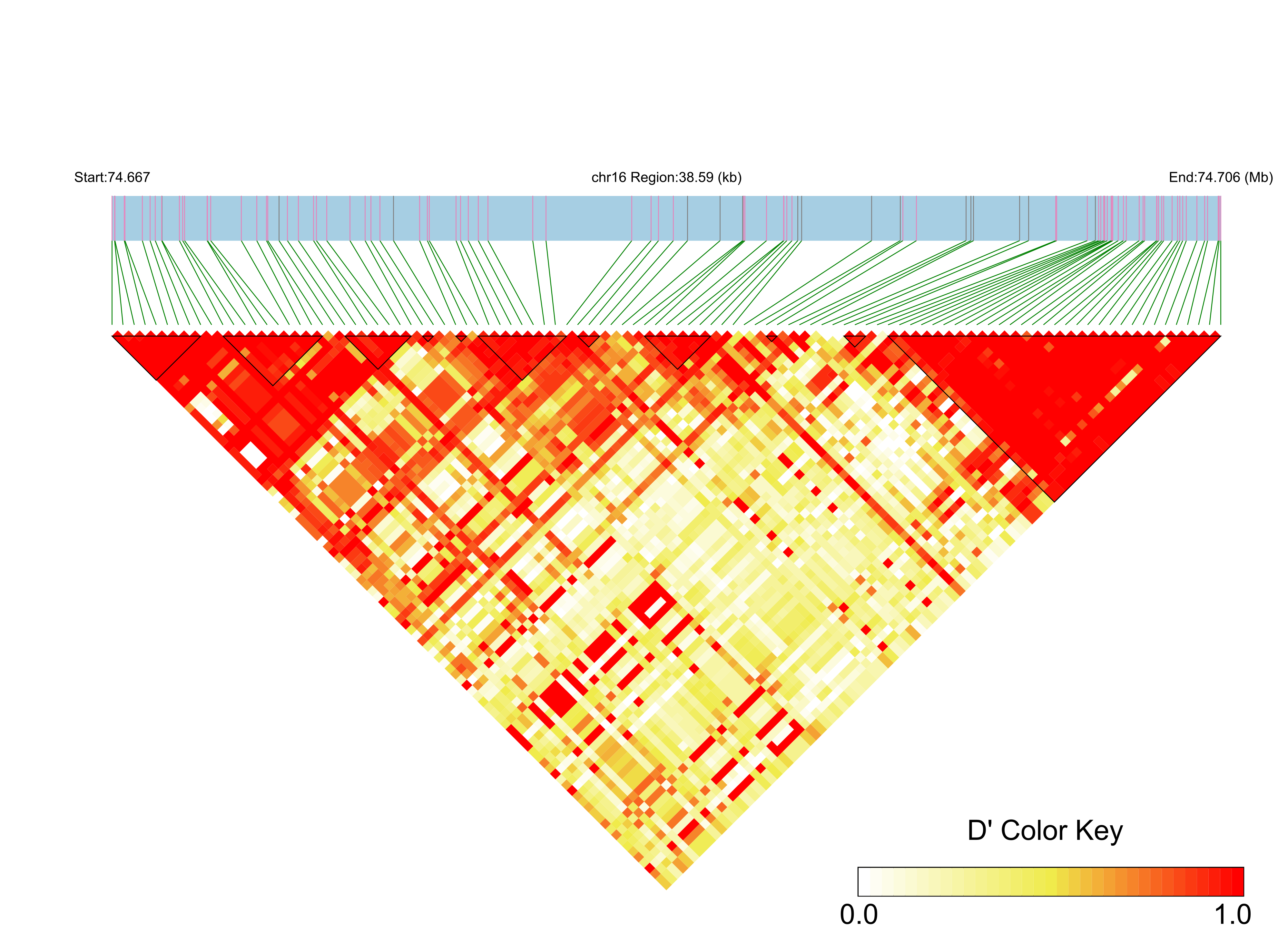 LD