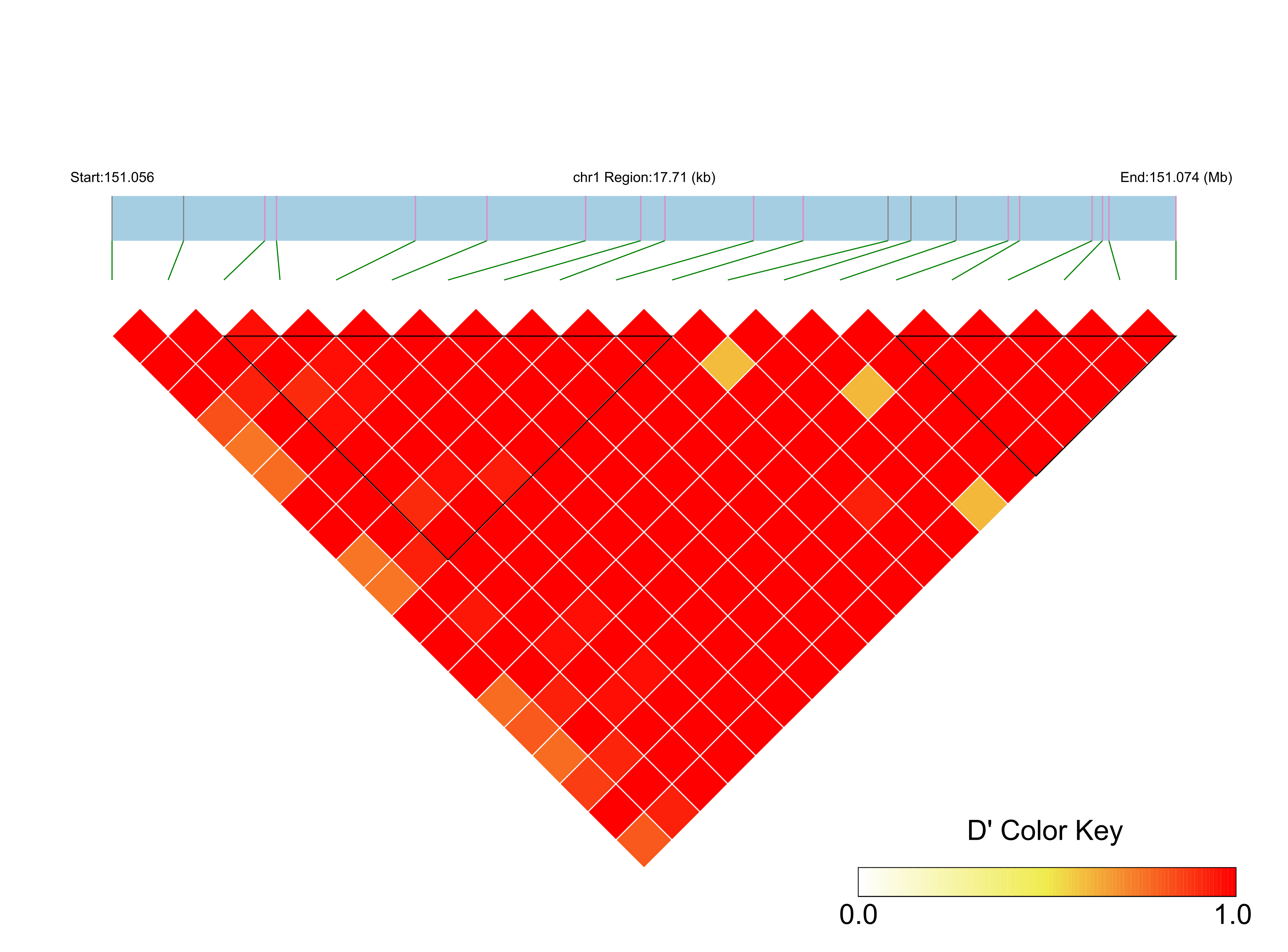LD