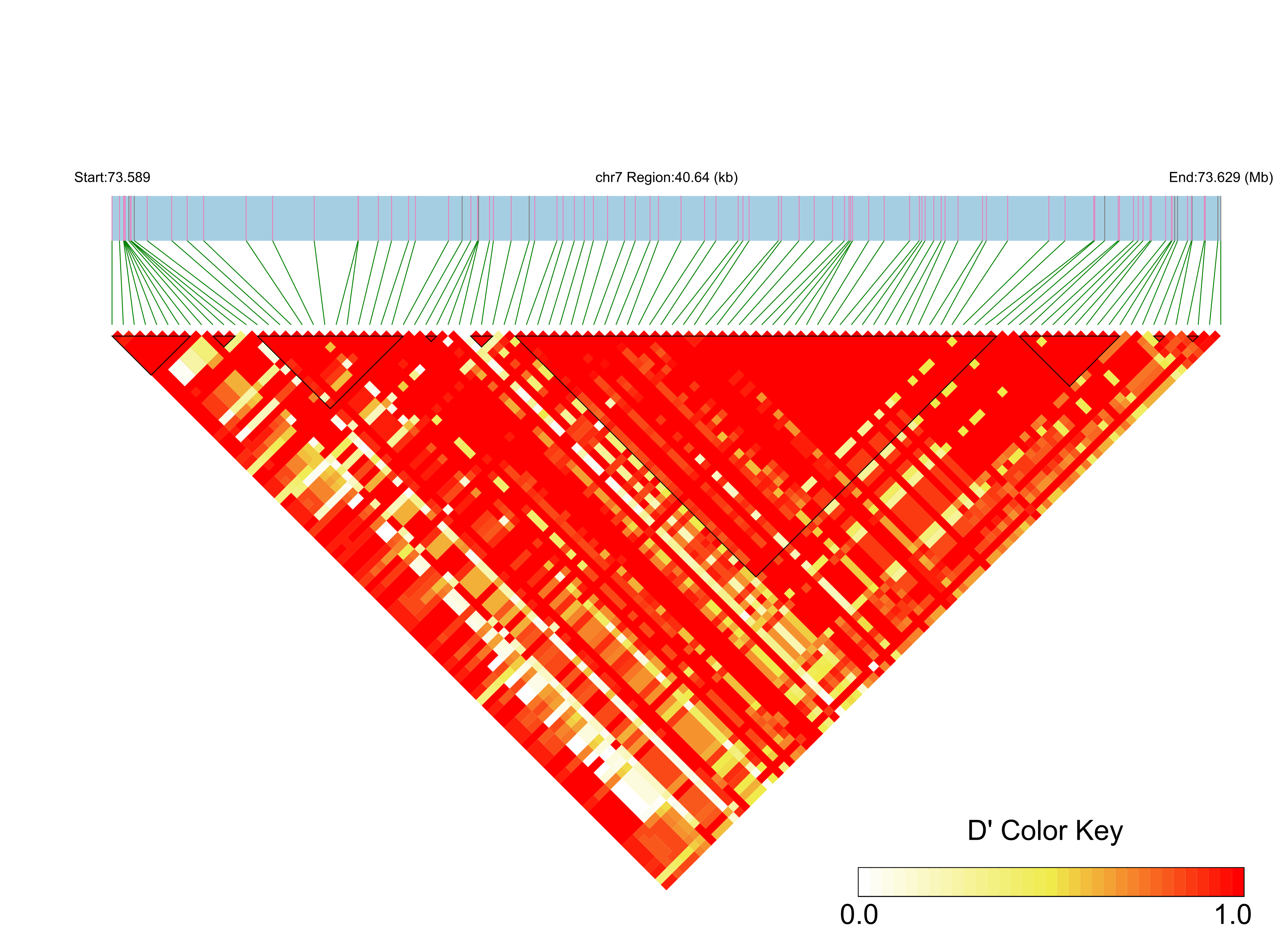 LD