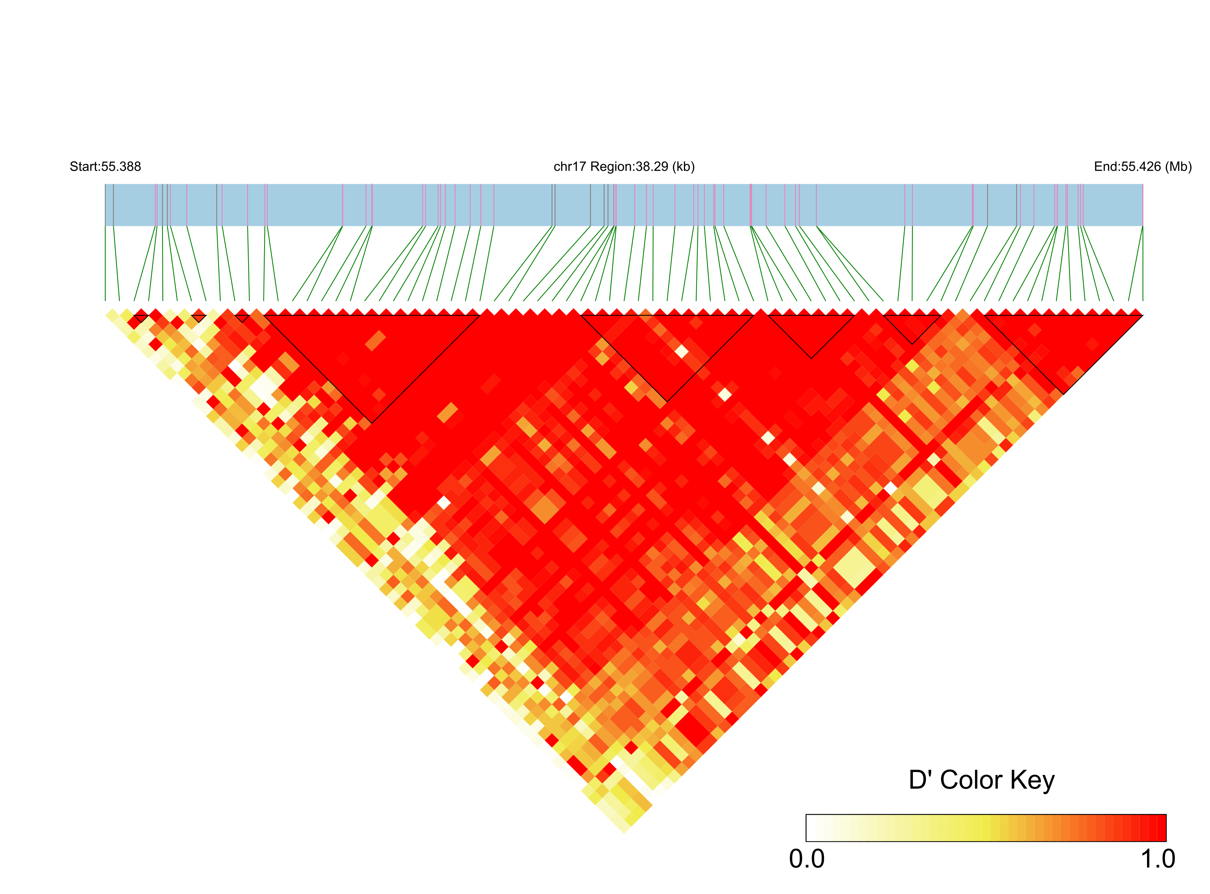 LD