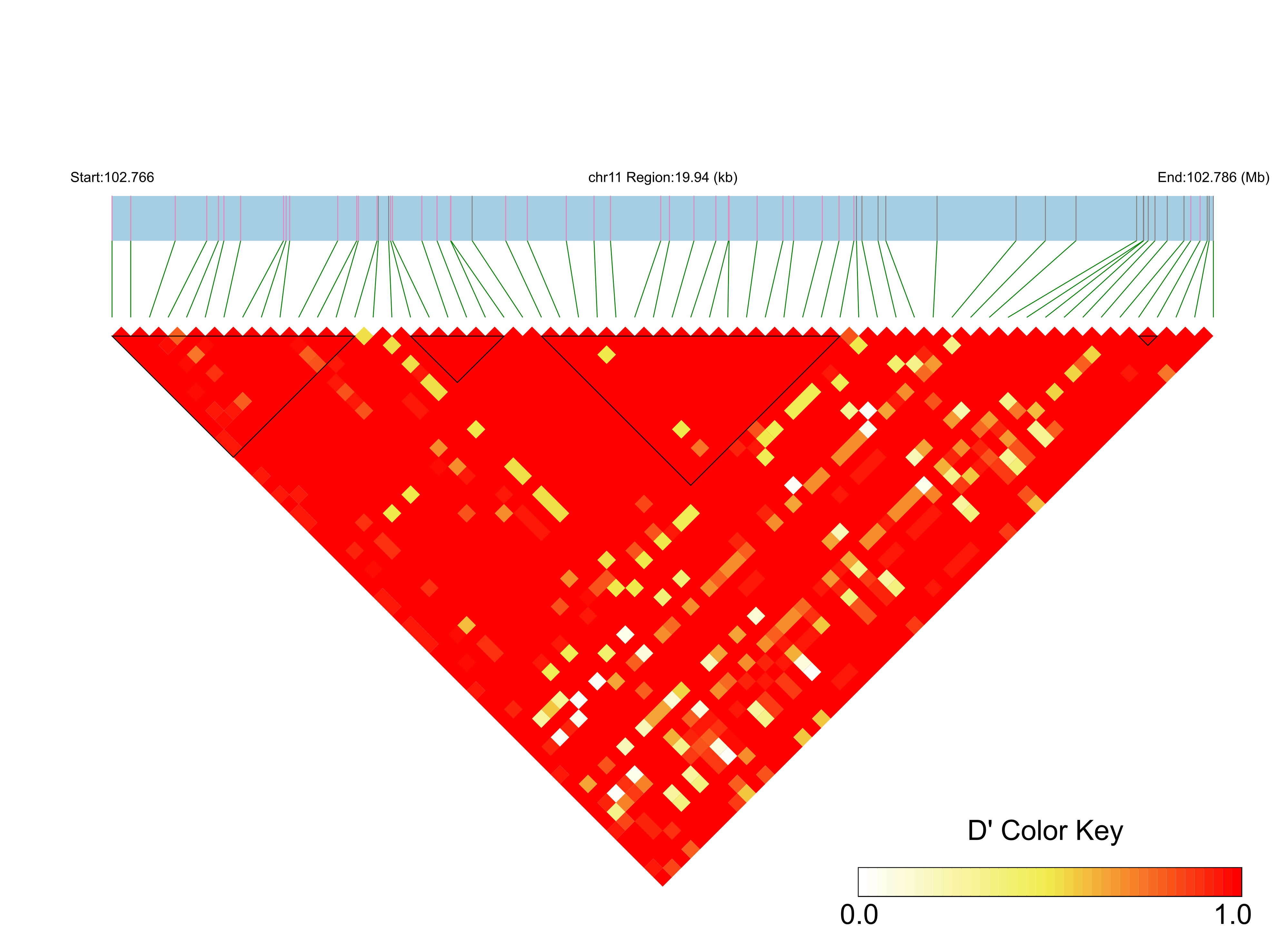 LD