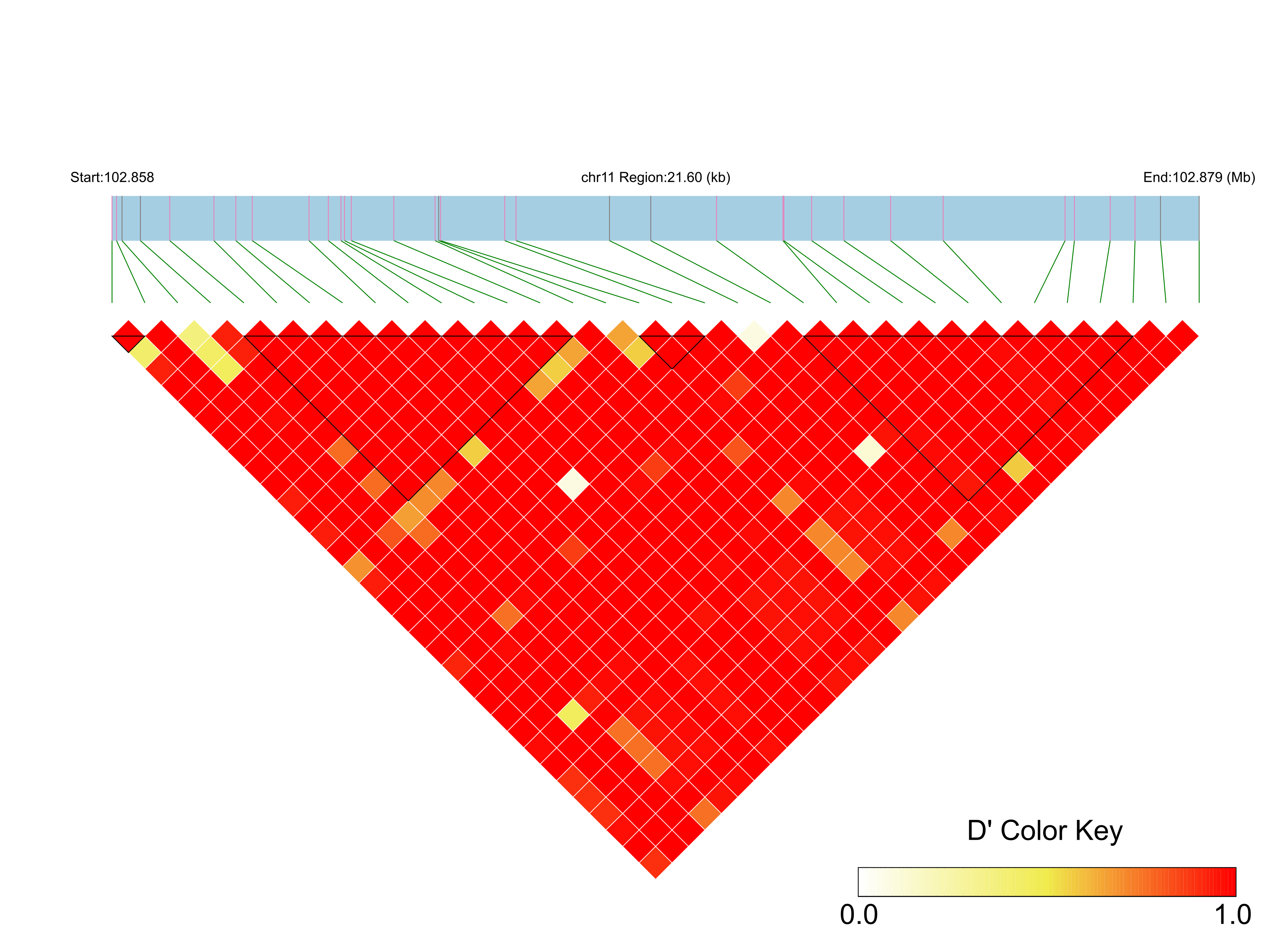LD