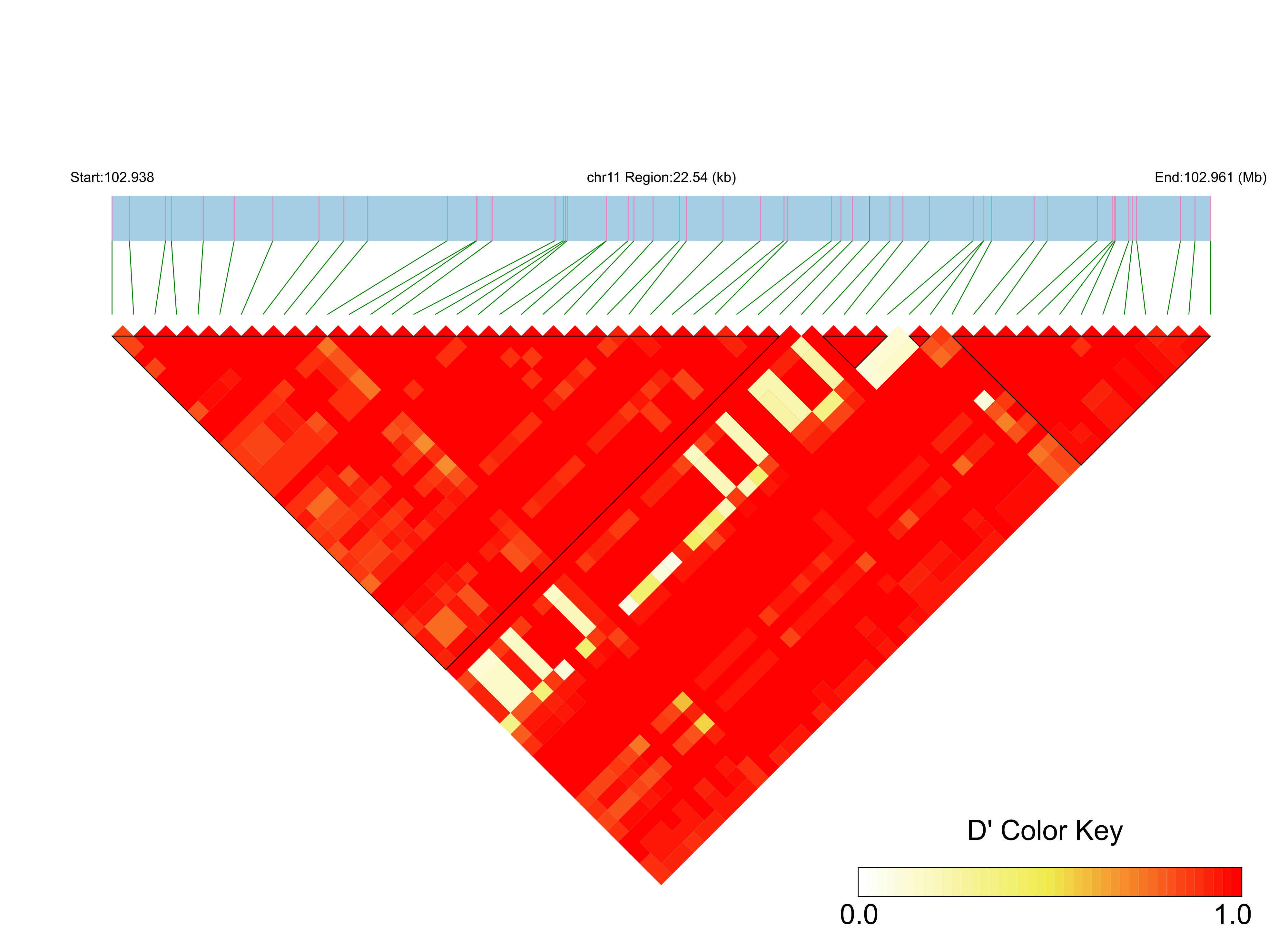 LD