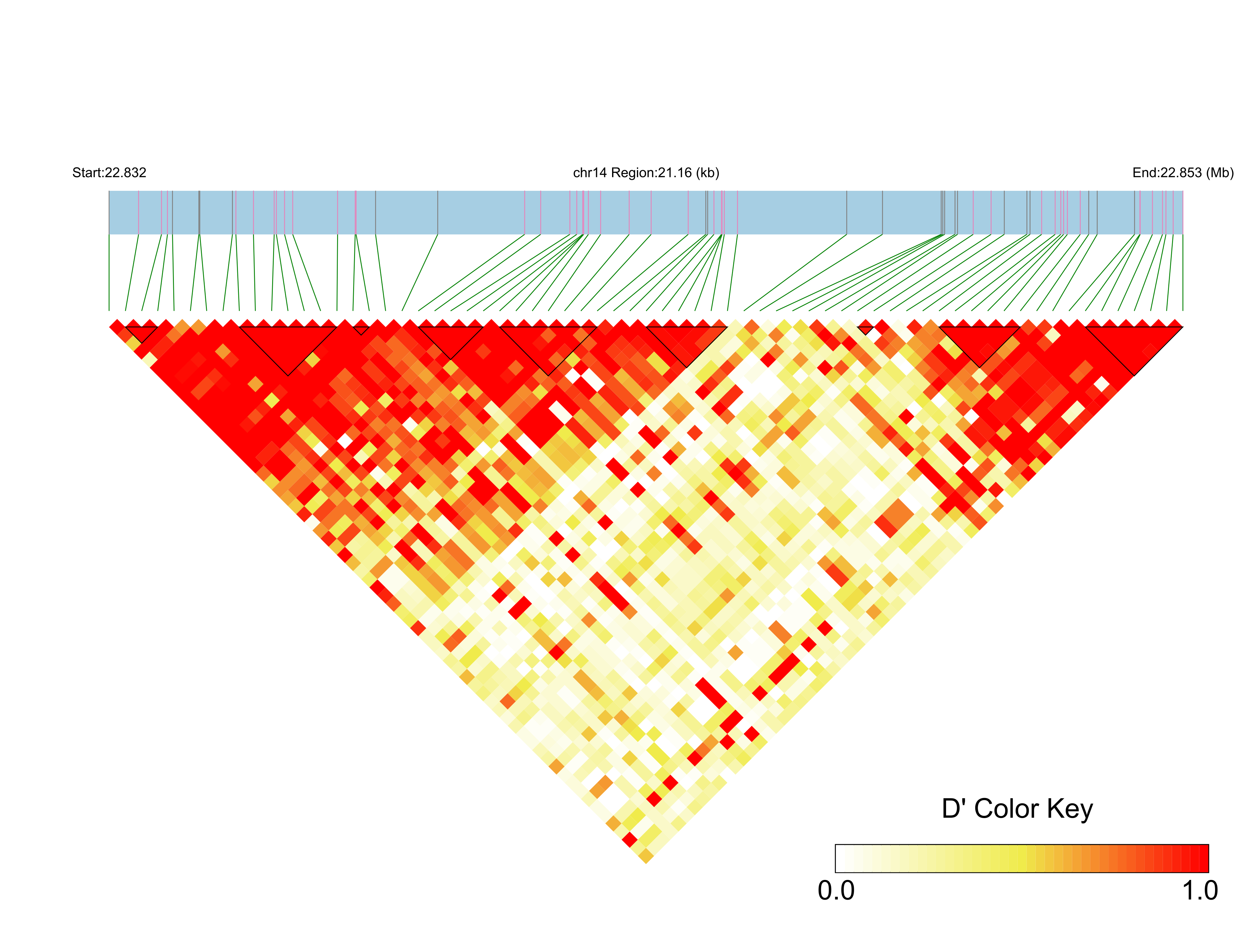 LD